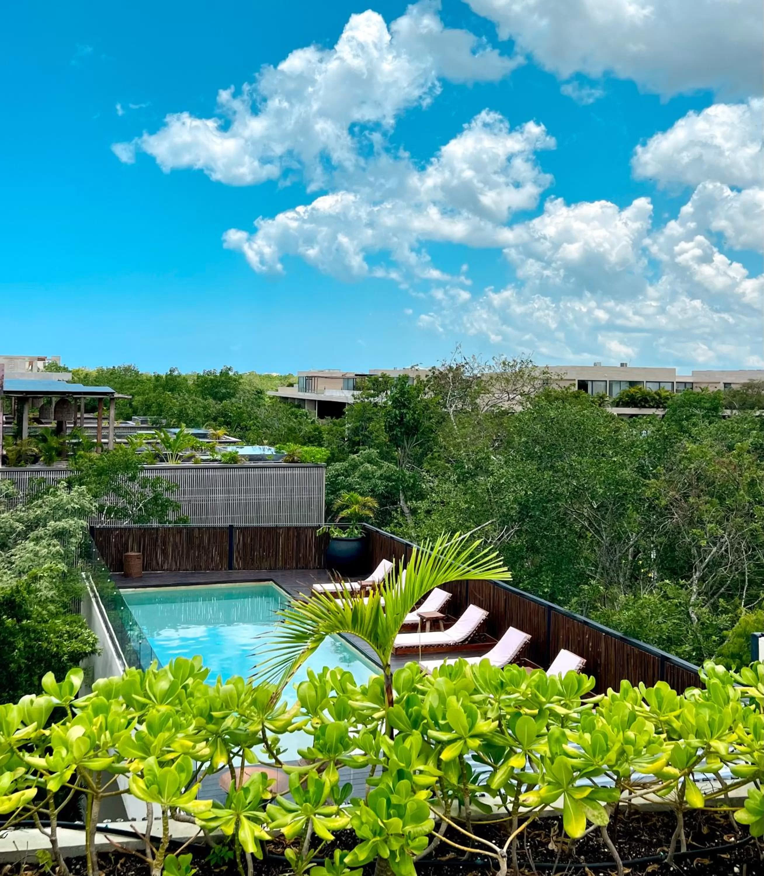 Day, Pool View in Kuukum Tulum Hotel