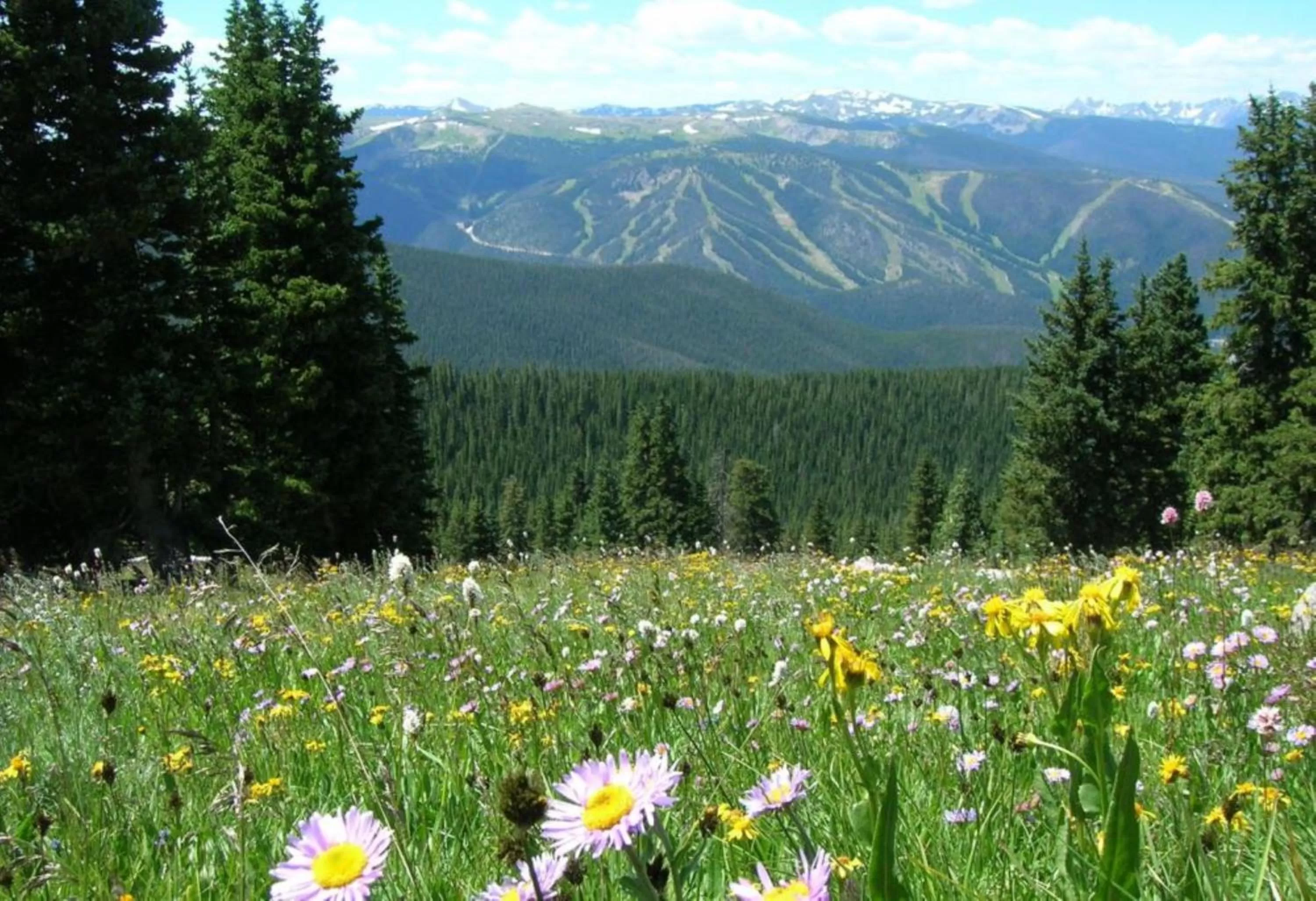 Nearby landmark in Holiday Inn Express Hotel & Suites Fraser Winter Park Area by IHG