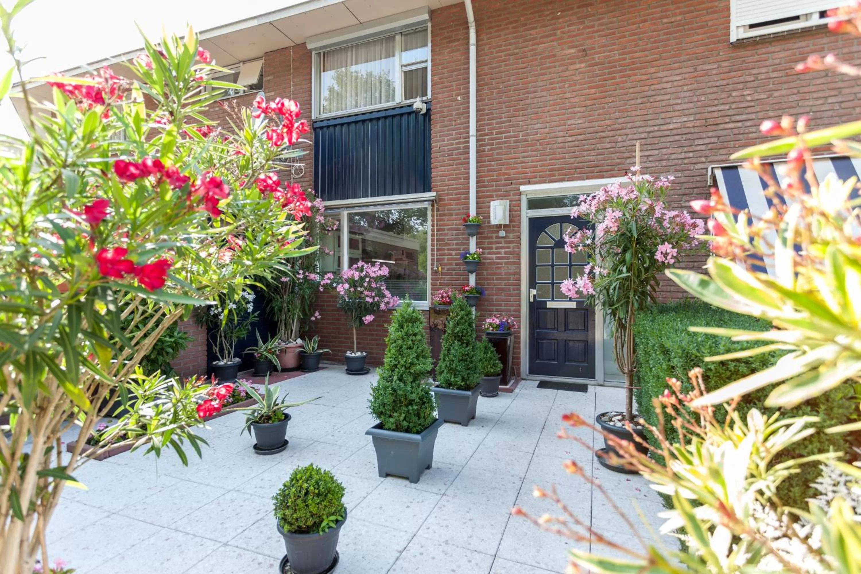 Neighbourhood in Enschede