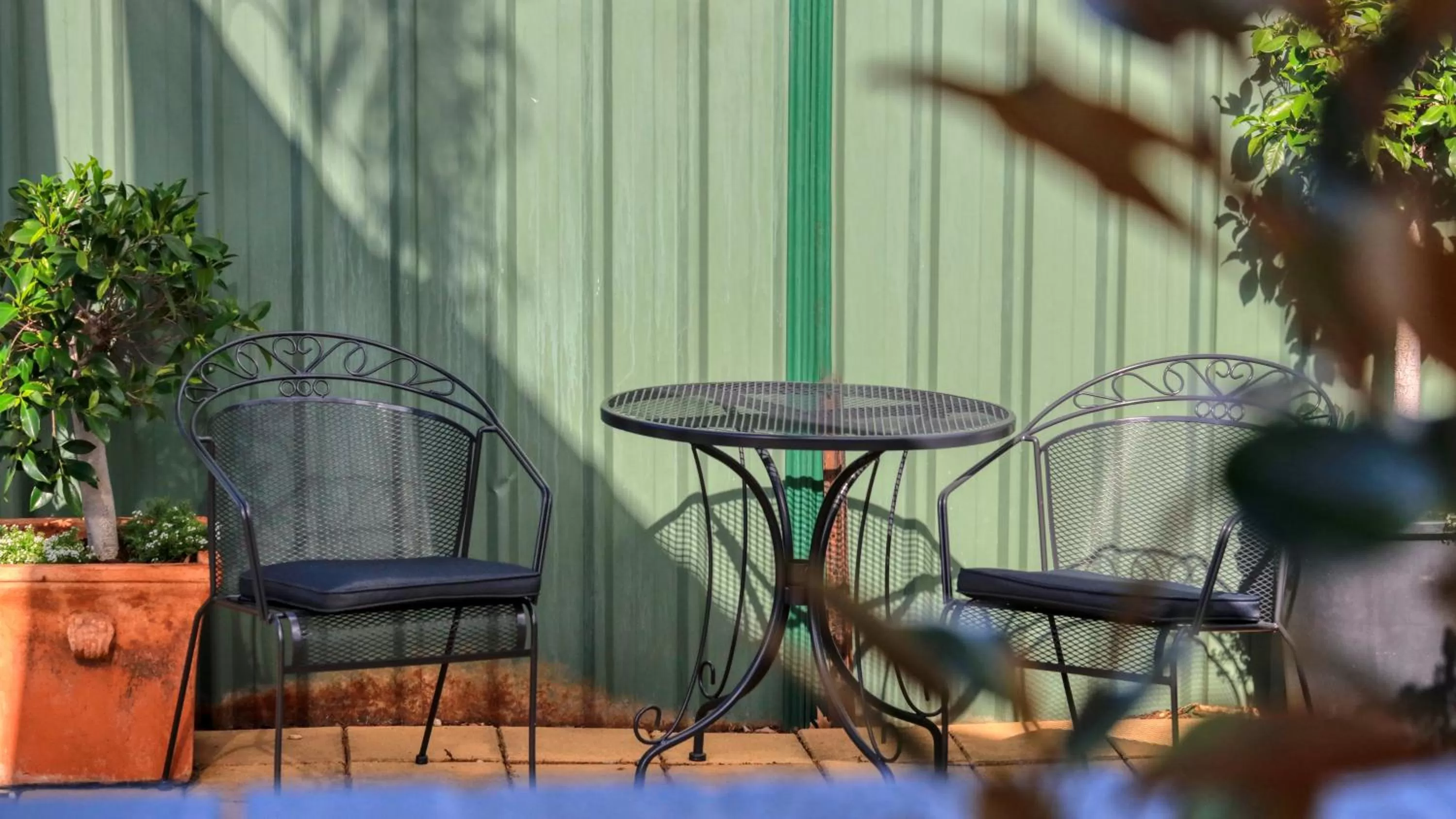 Garden in Edward Parry Motel and Apartments