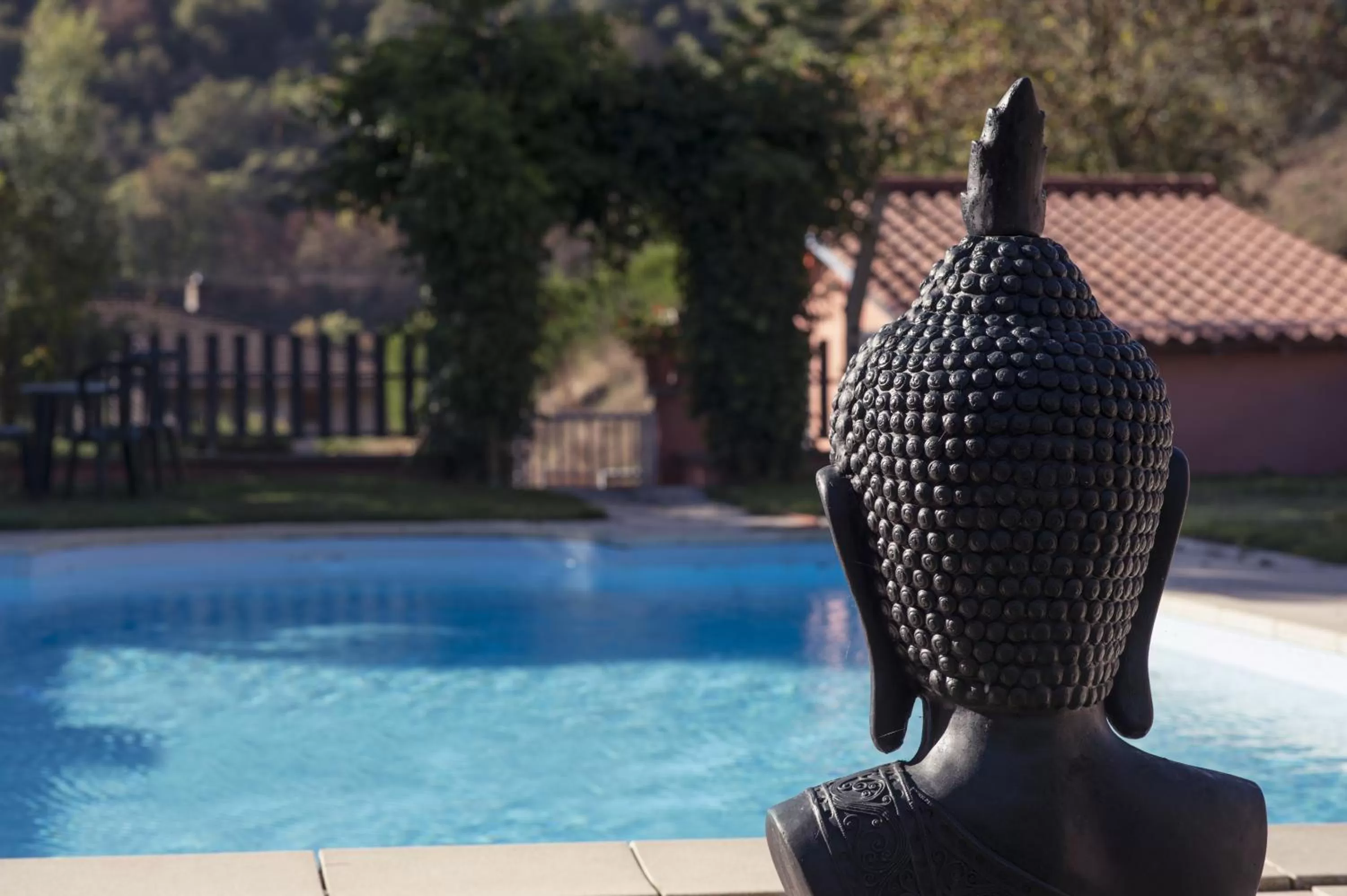 Swimming pool in Logis Hôtel Burnichon