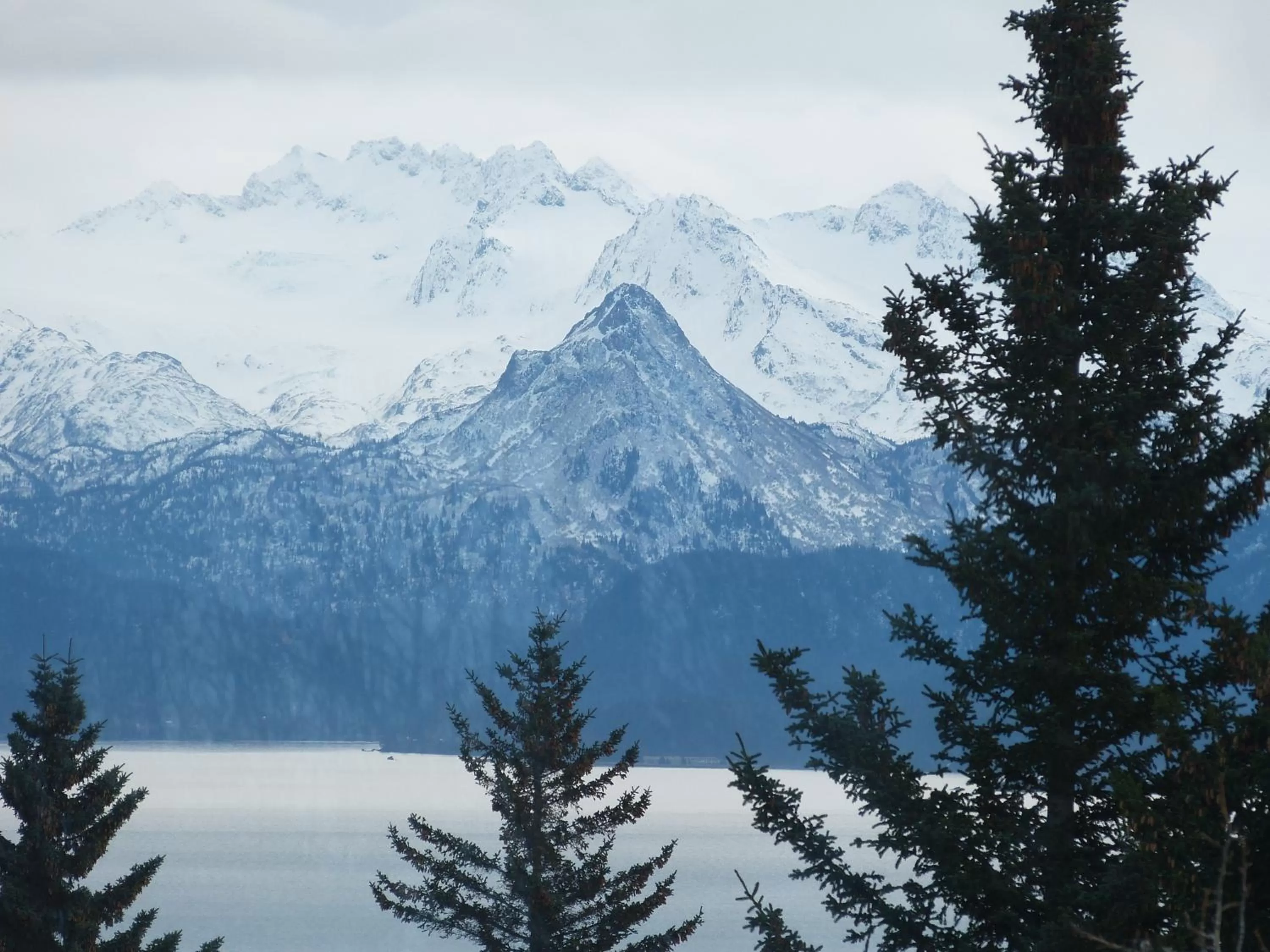 Landmark view, Winter in Halcyon Heights B&B/Inn