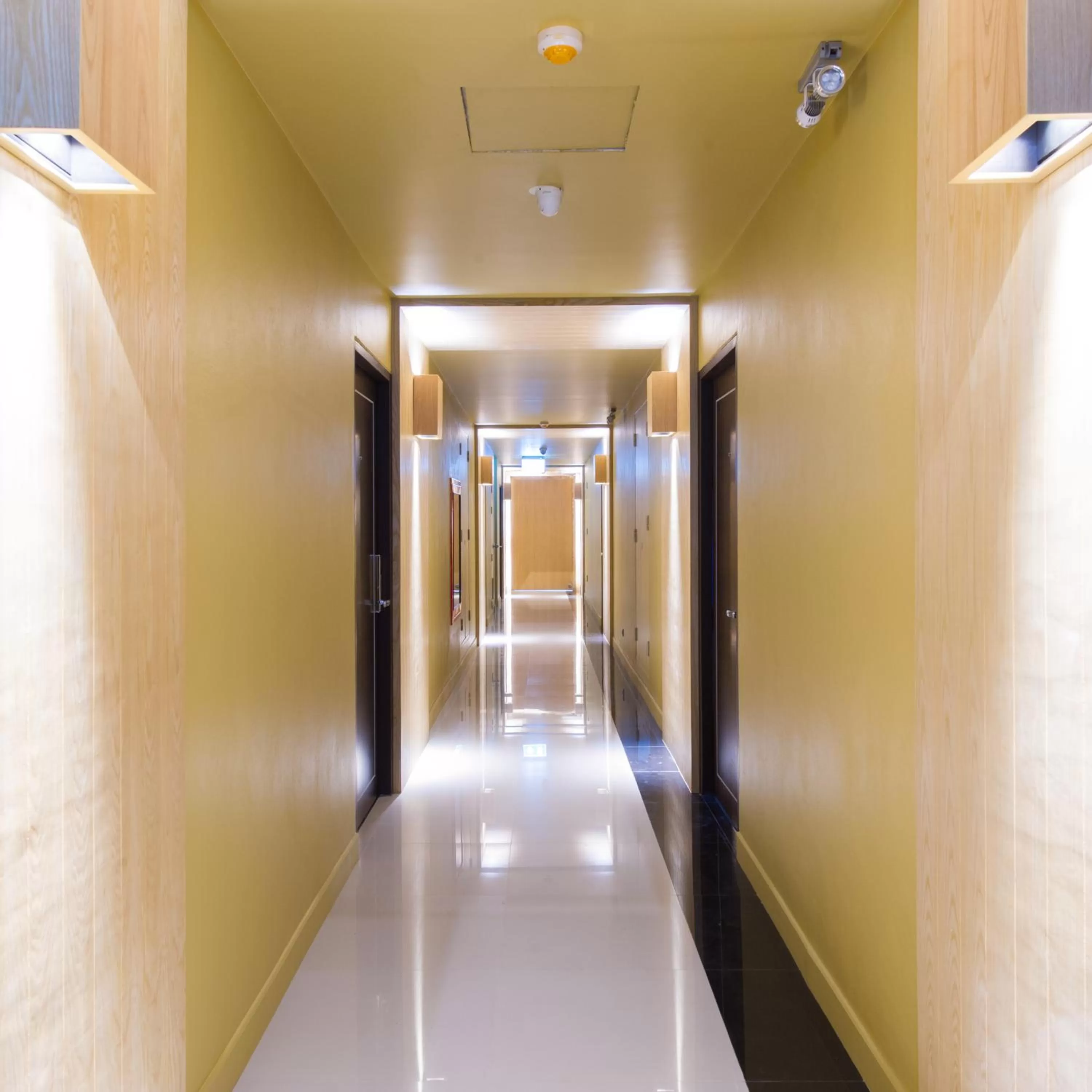 Area and facilities in Zenniq