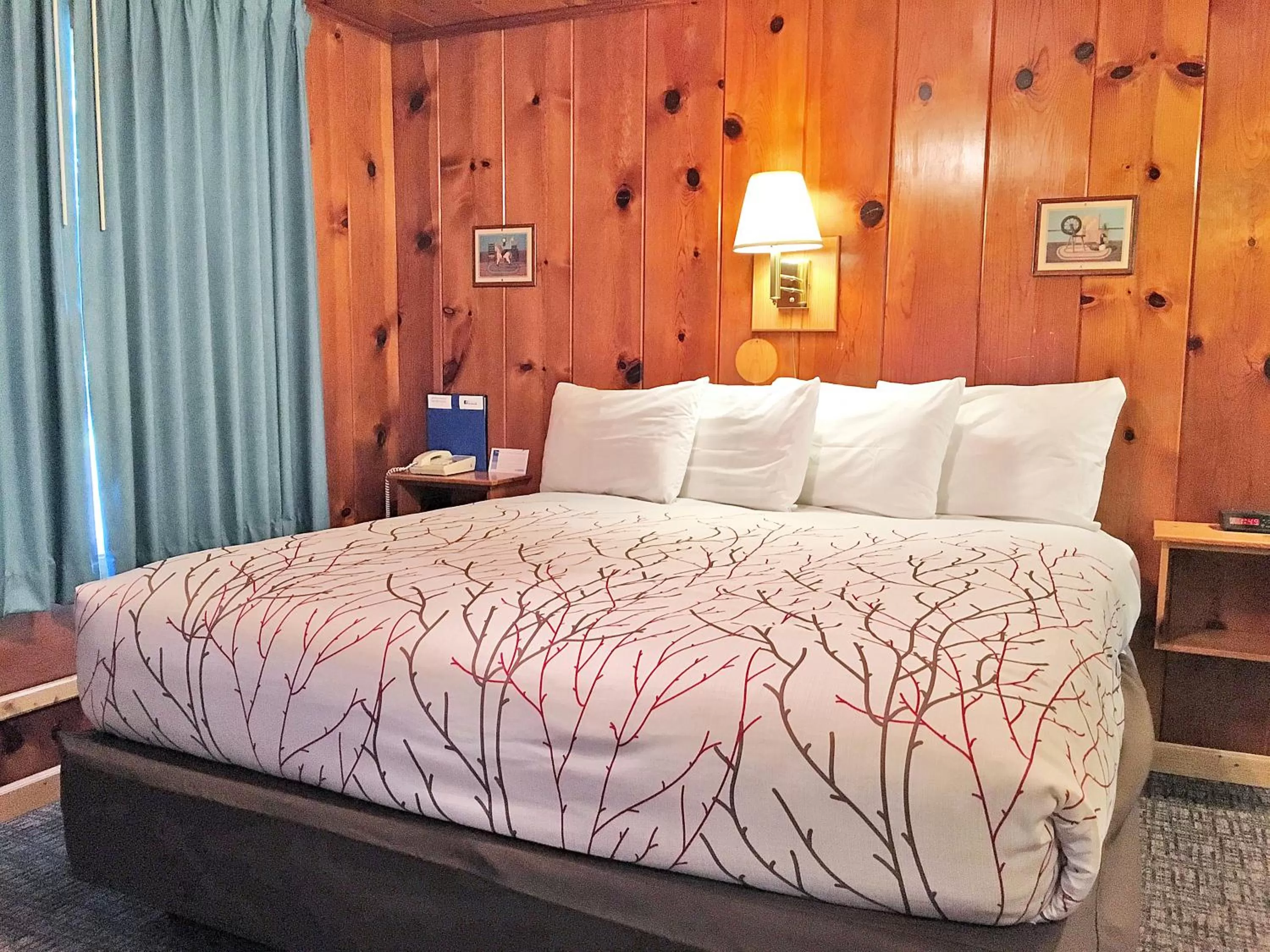 Bed in Park Motel and Cabins