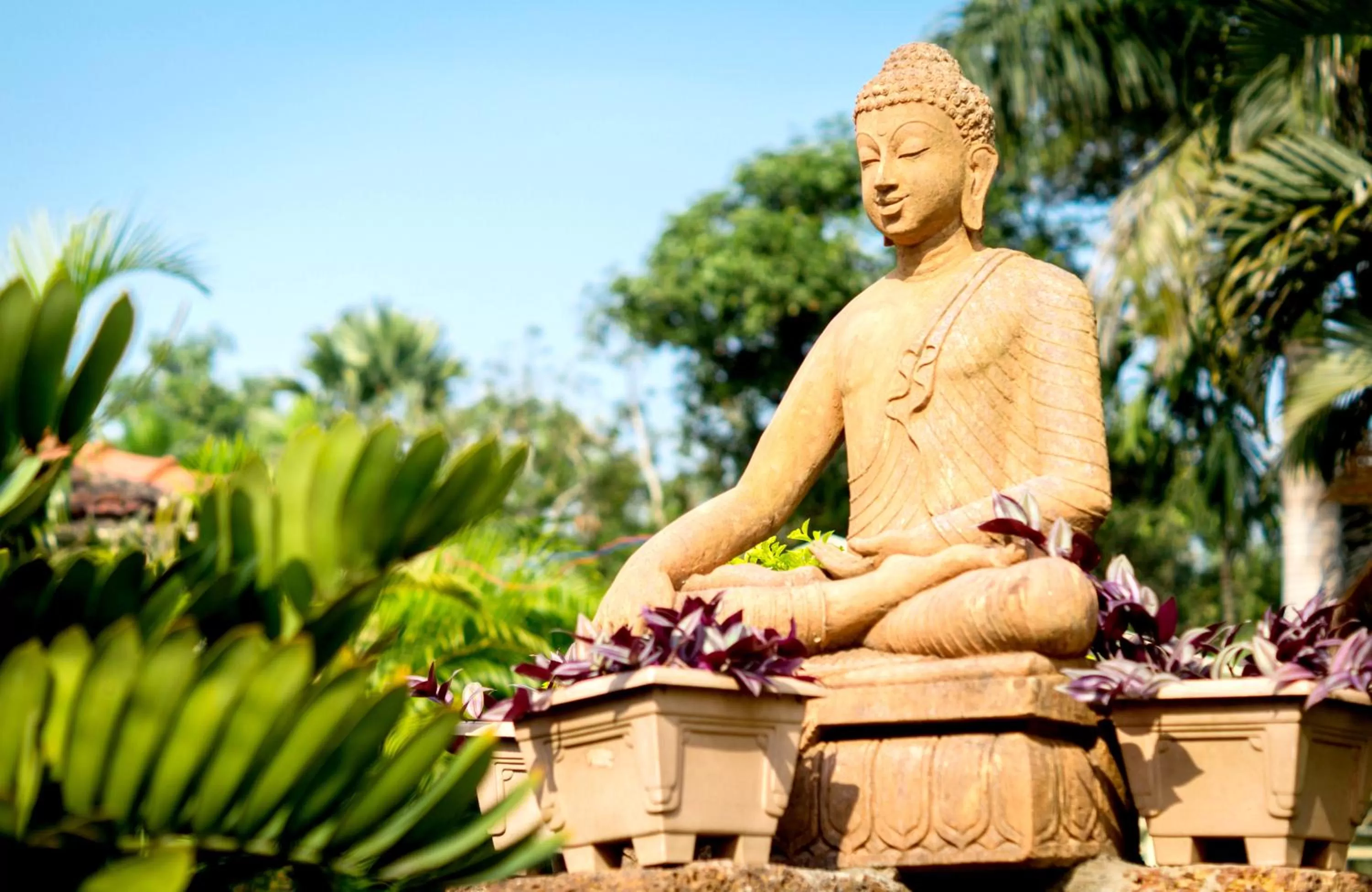 Garden in Toshali Sands Puri