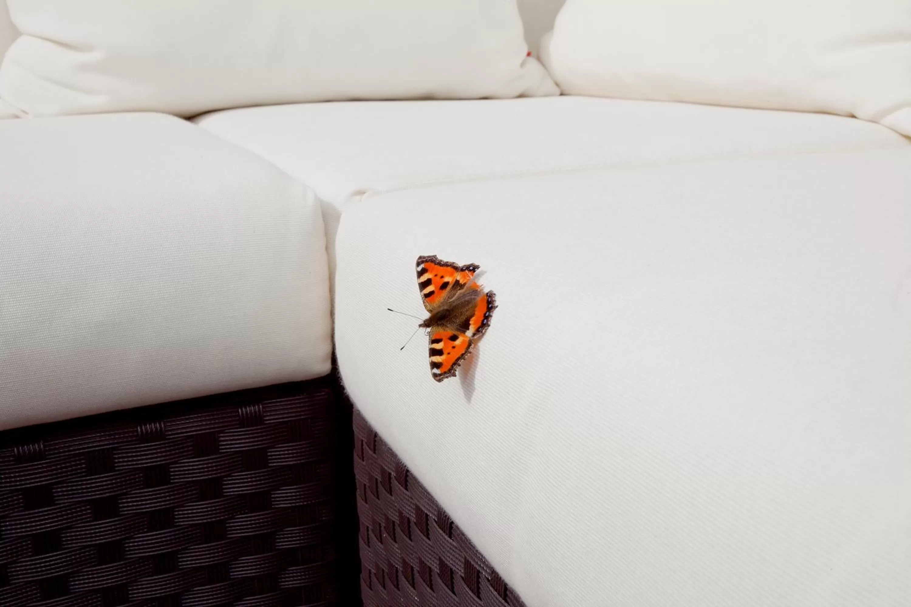 Decorative detail, Bed in Strandhaus Belvedere