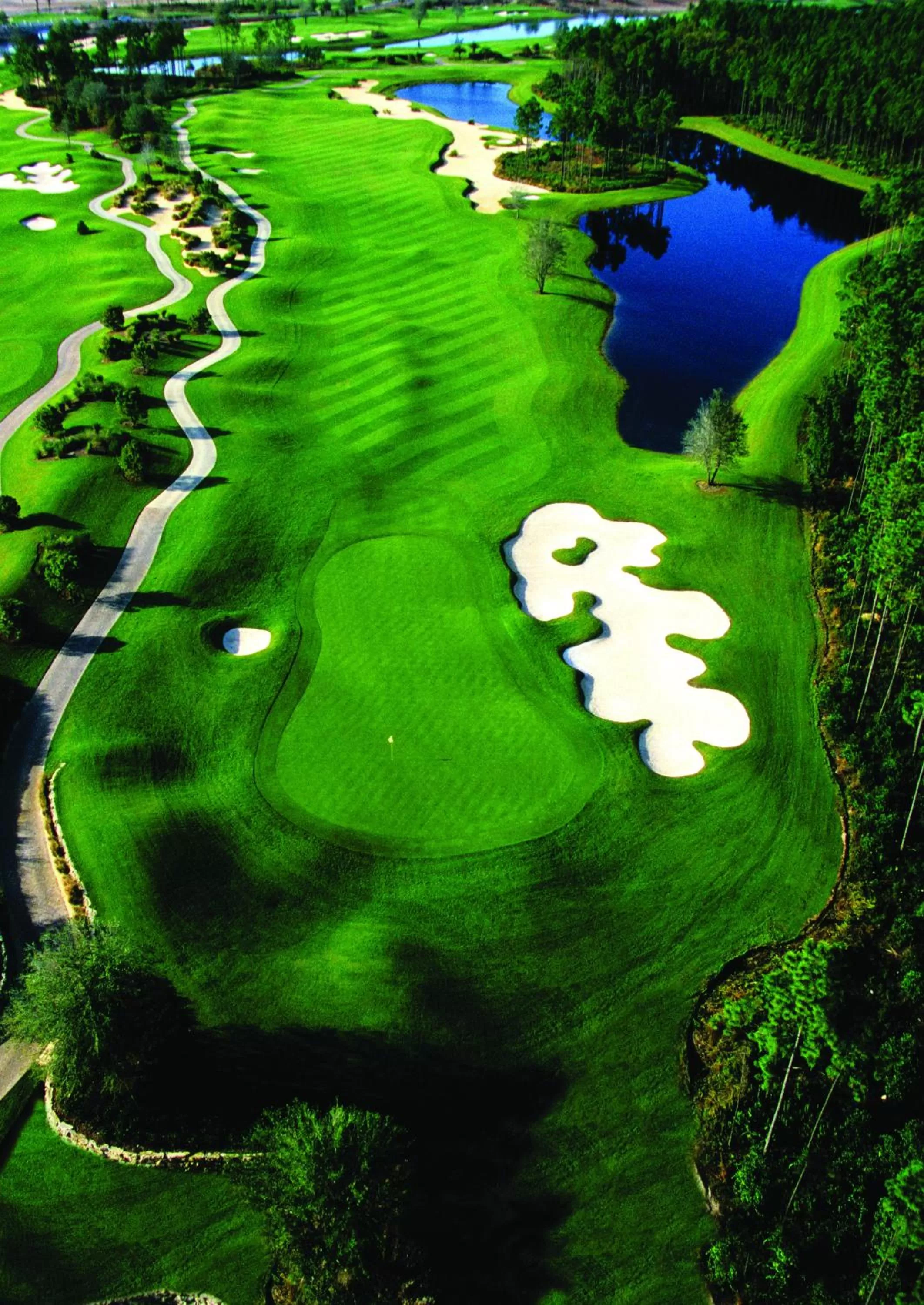 Bird's eye view in Hammock Beach Golf Resort & Spa