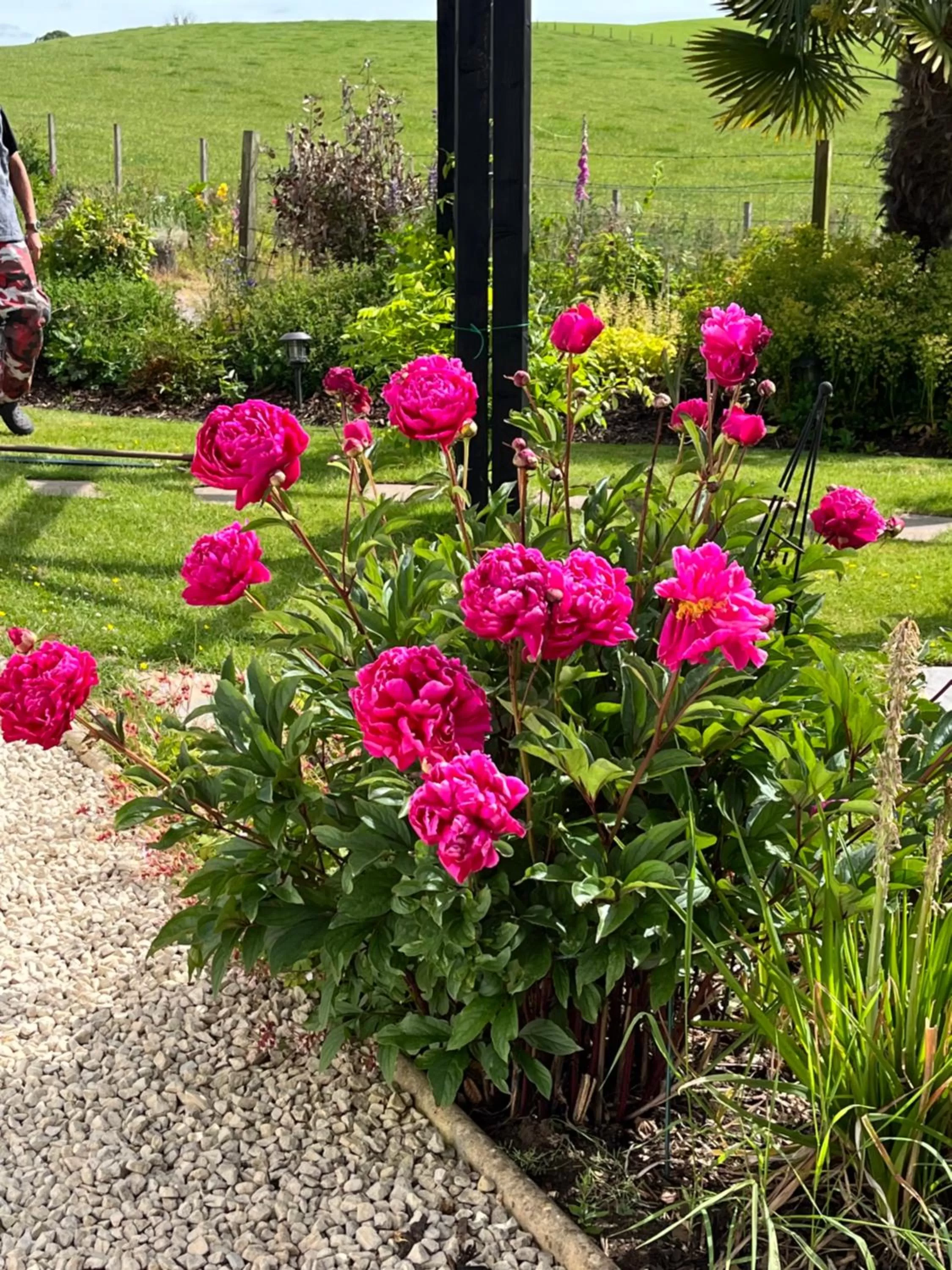 Garden in Retreat at The Knowe Auchincruive Estate