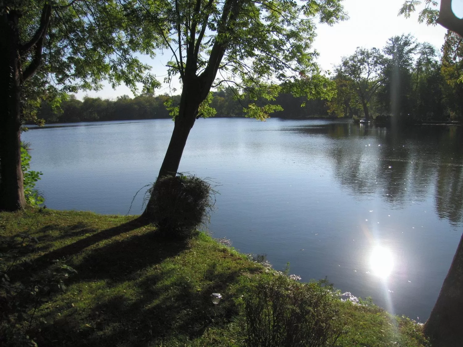 Area and facilities in Hôtel L'ile Du Saussay