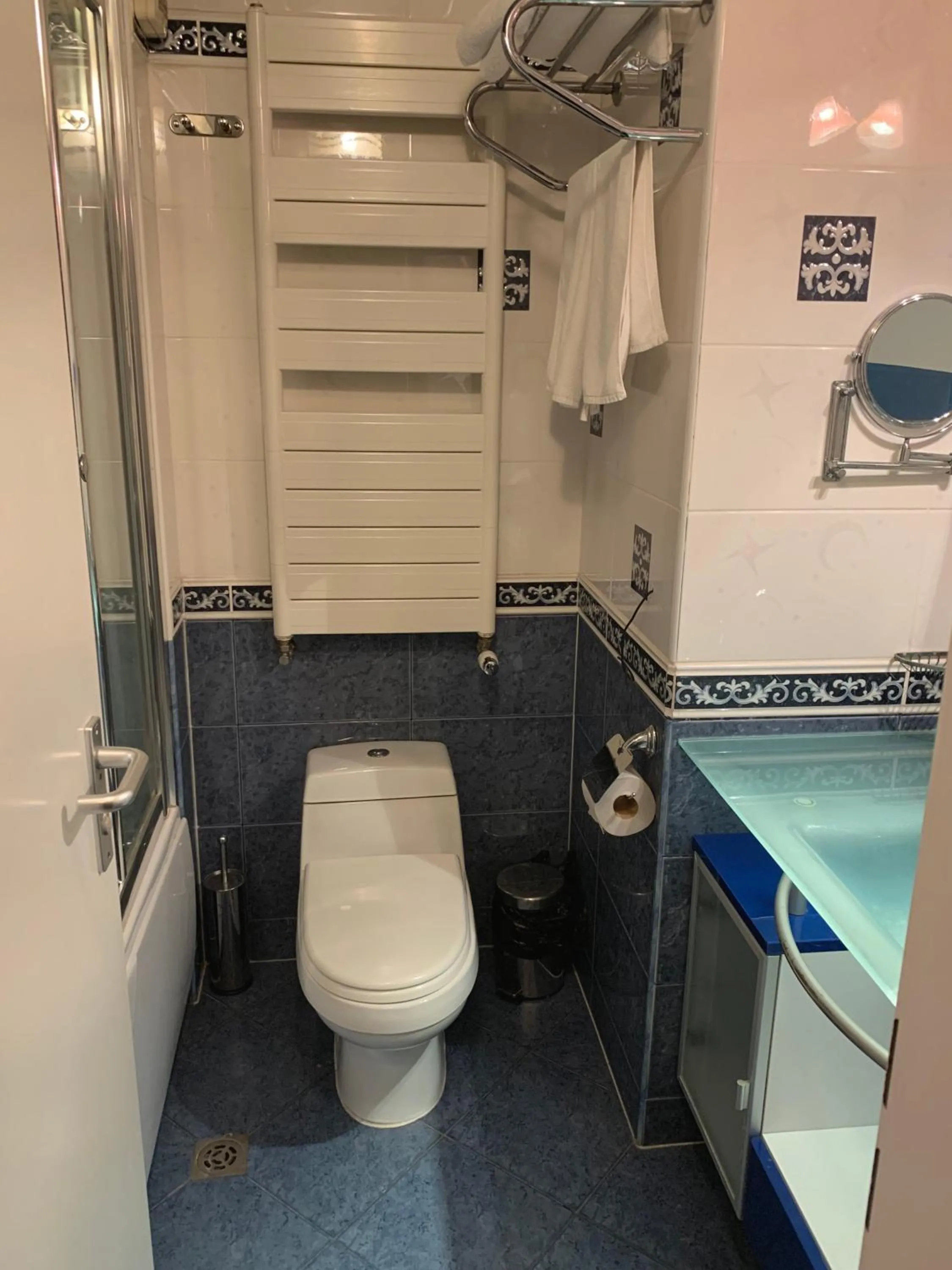 Toilet in California Hotel