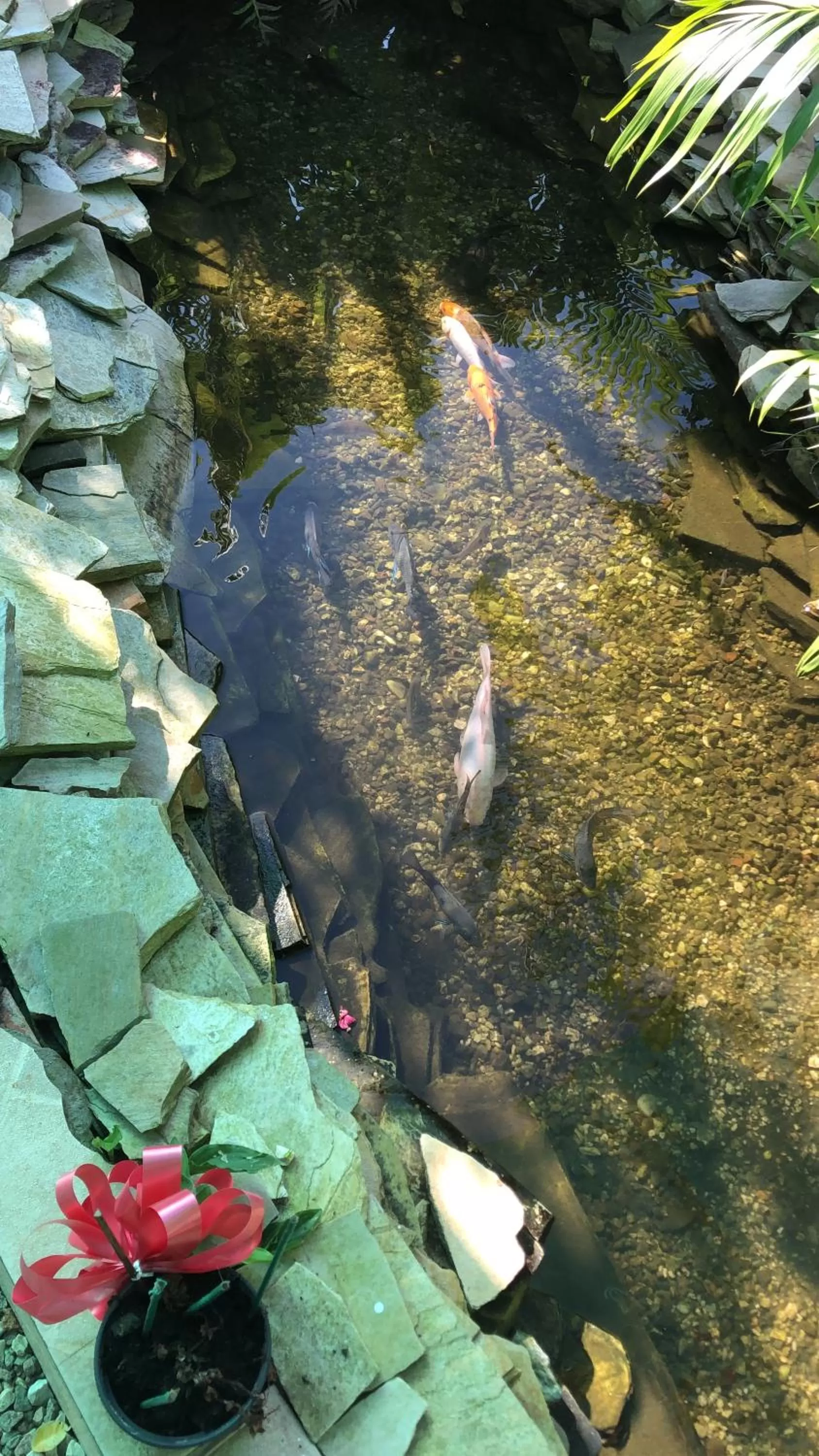 Natural landscape in Hotel Nosso Bosque