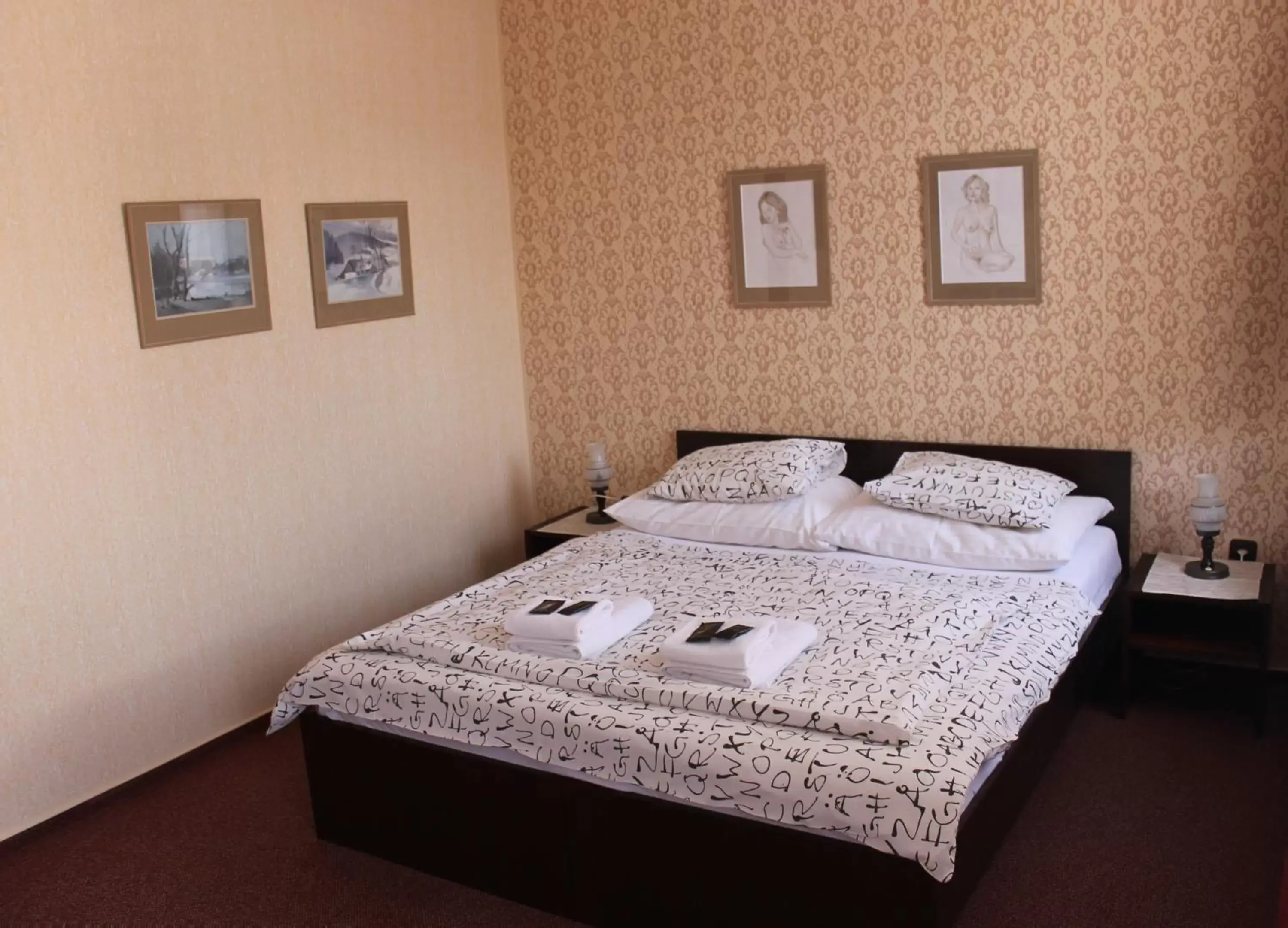 Double or Twin Room in Hotel Panský Dům Žamberk Double or Twin Room in Hotel Panský Dům Žamberk