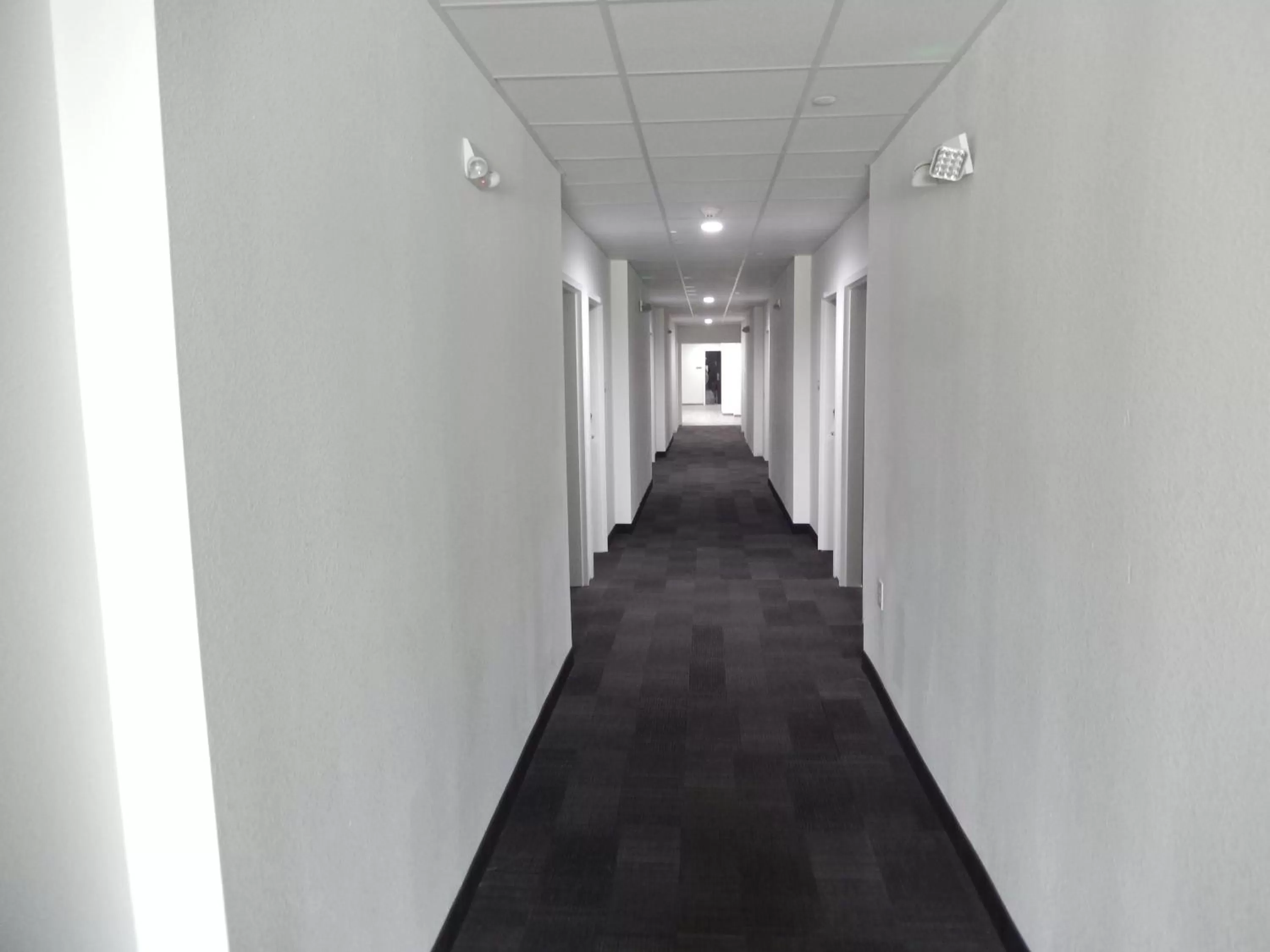 Property building in Motel 6-Houston, TX - Downtown North