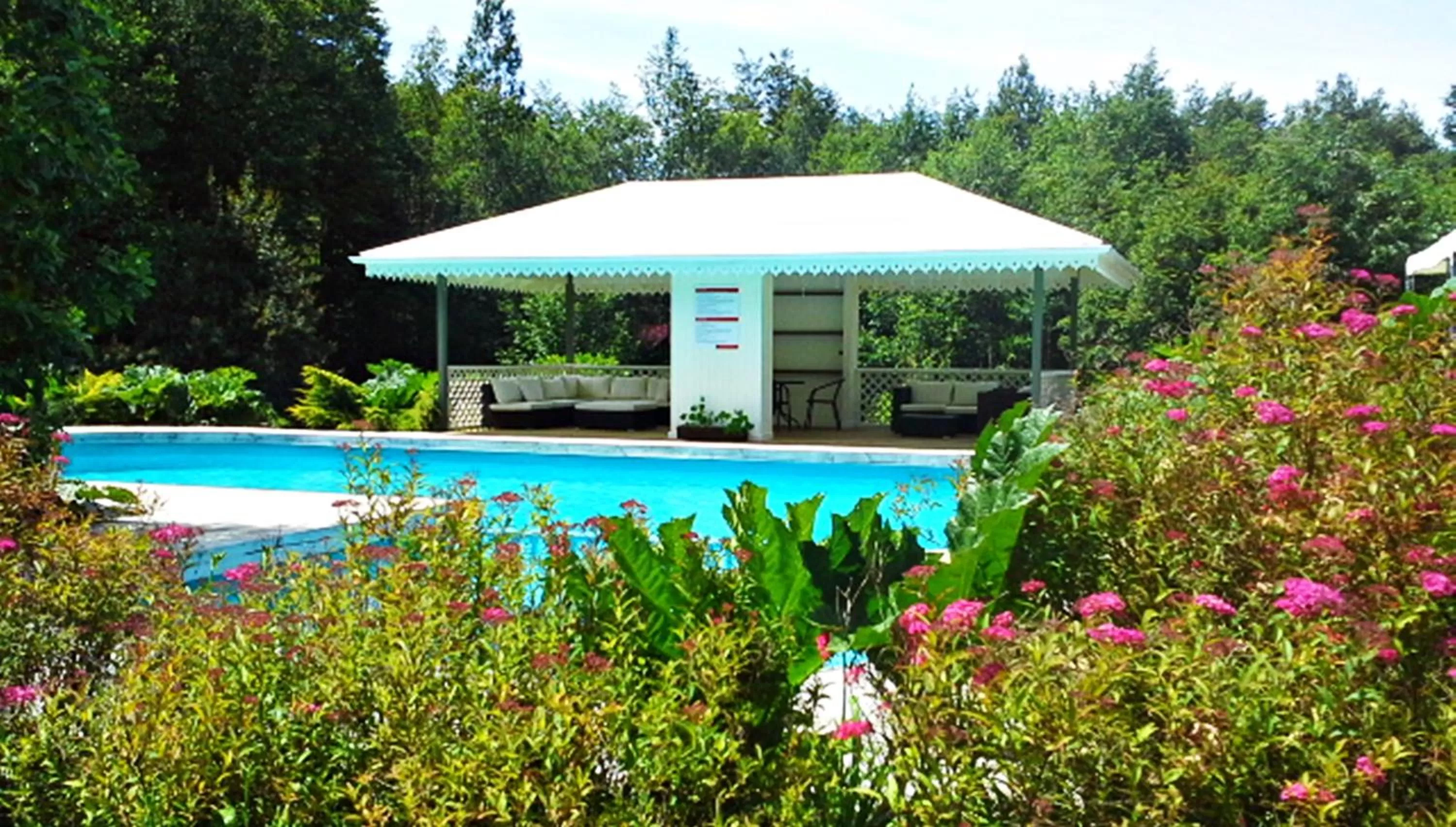 Swimming Pool in Hotel Salto del Carileufu
