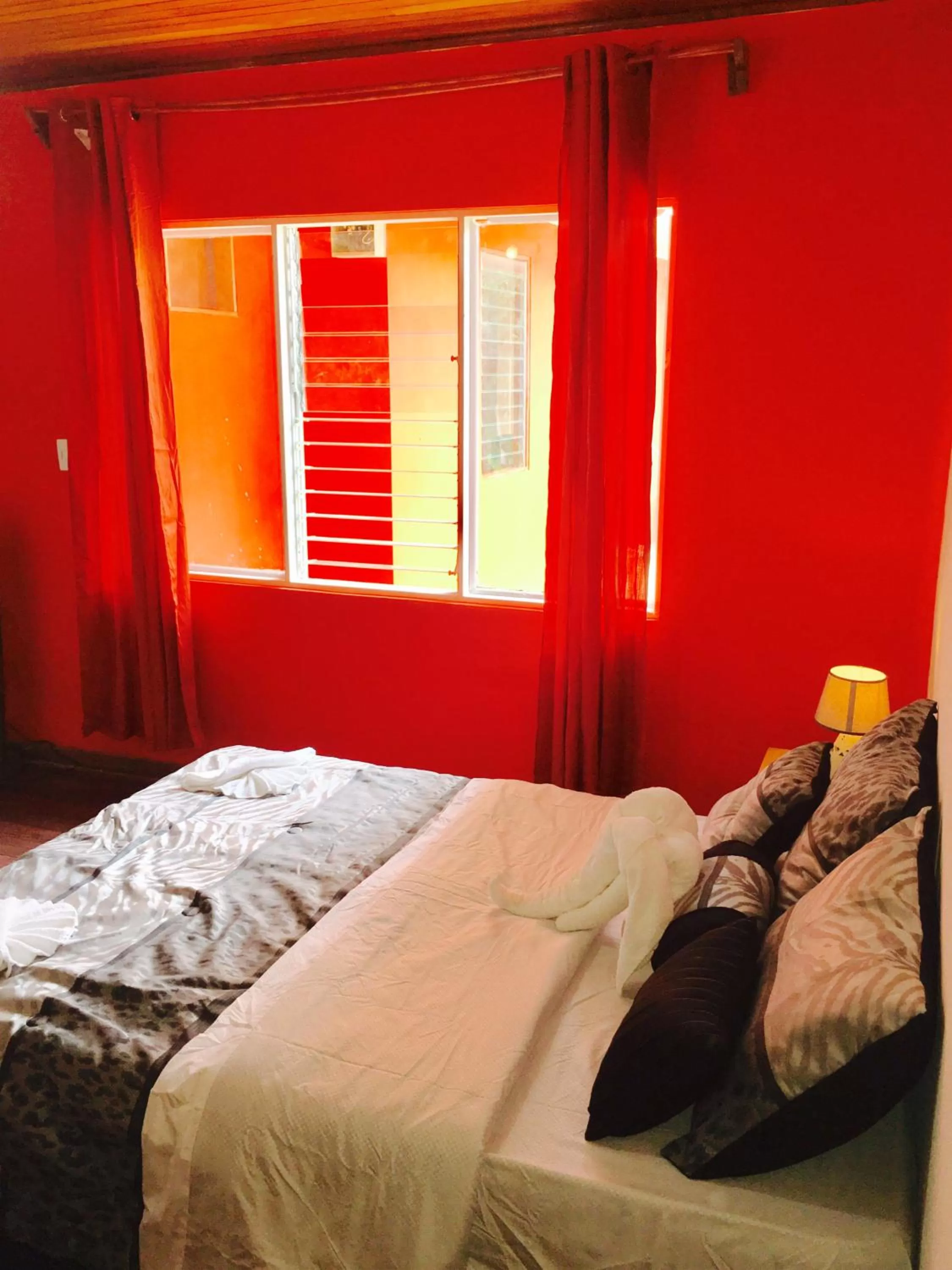 Bed, Room Photo in Hotel Your House