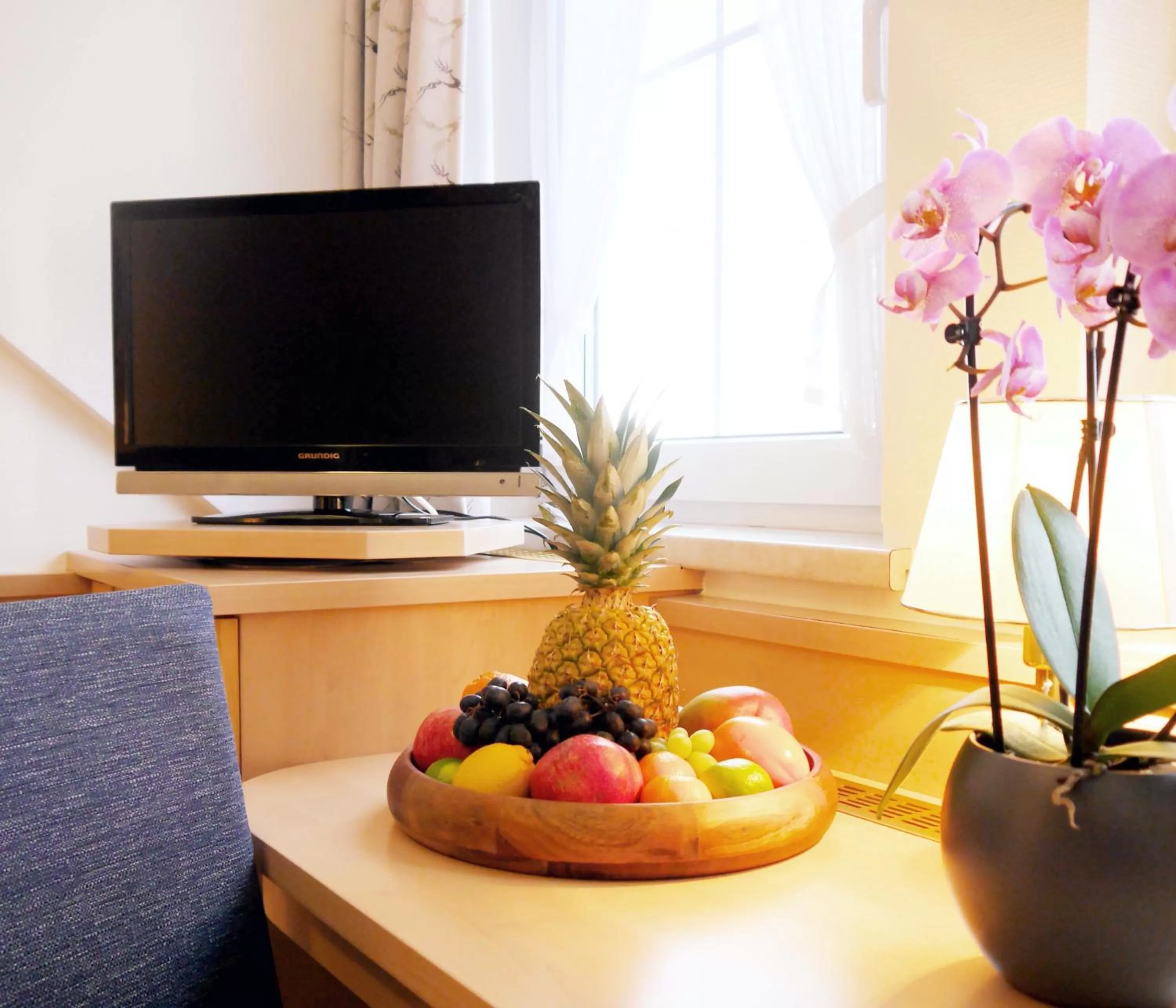 TV and multimedia in Berghotel Zollersteighof