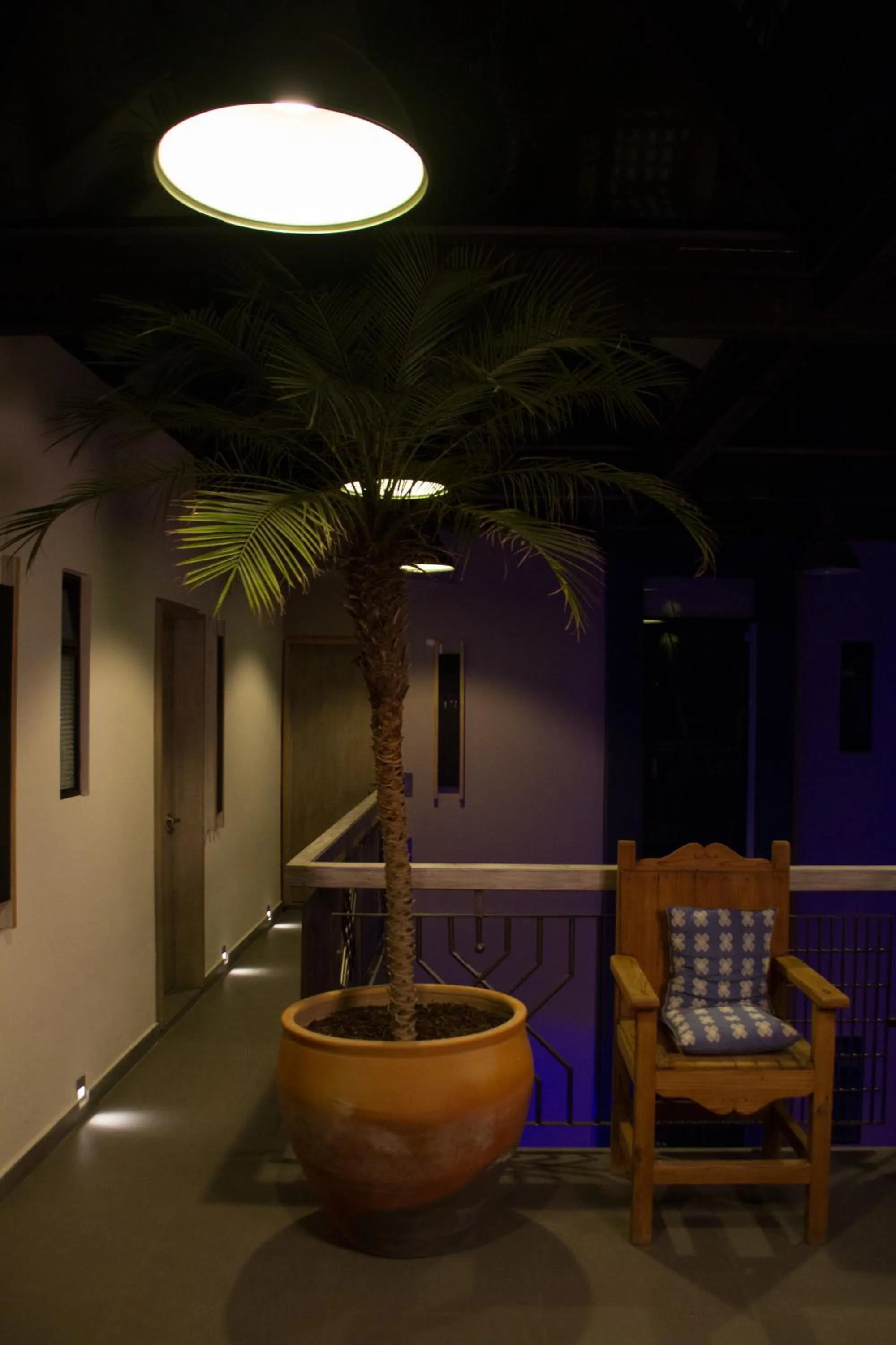 Night in Hotel Helverica