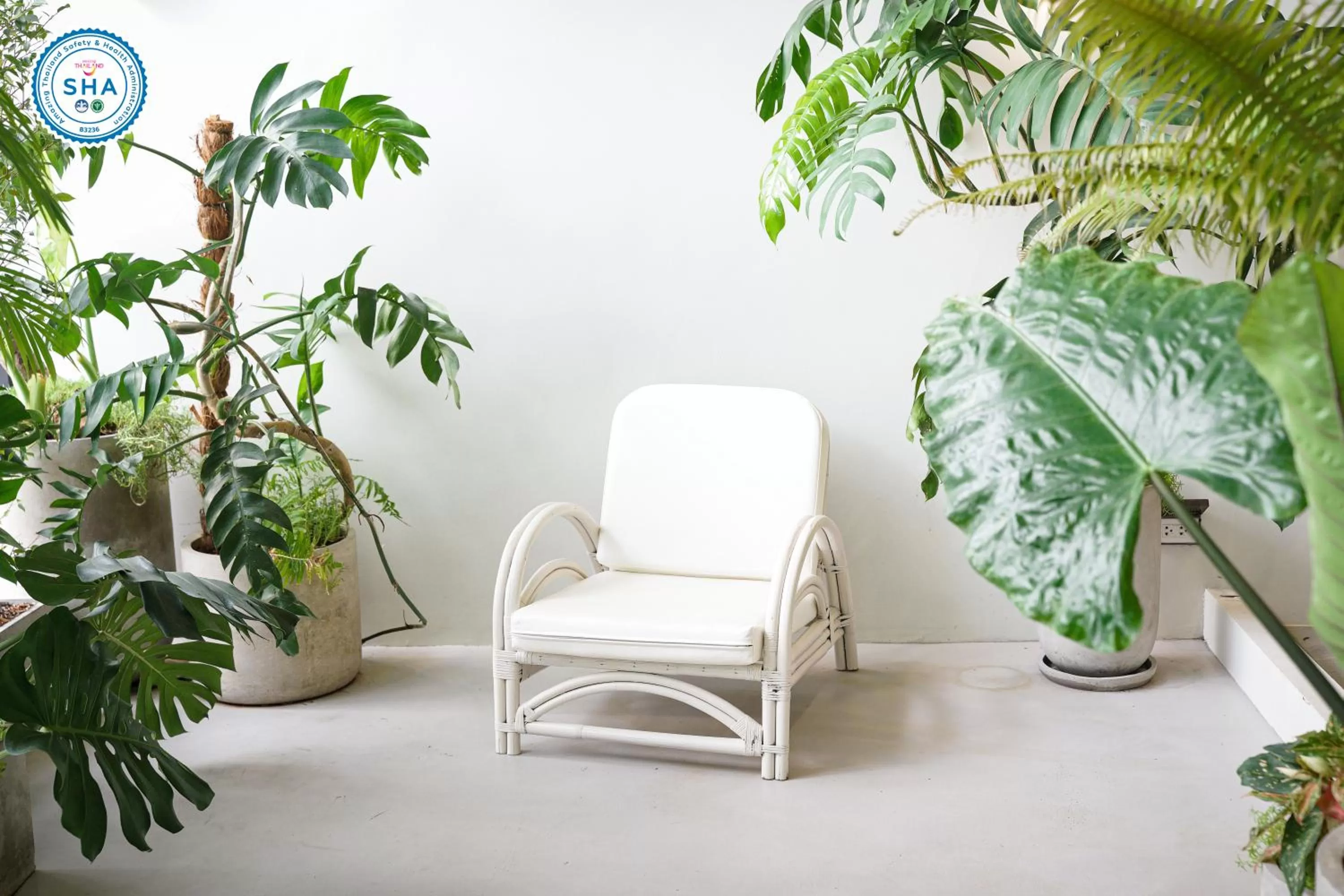 Garden in The Rise Suites Hotel, Chiang Mai - SHA Extra Plus