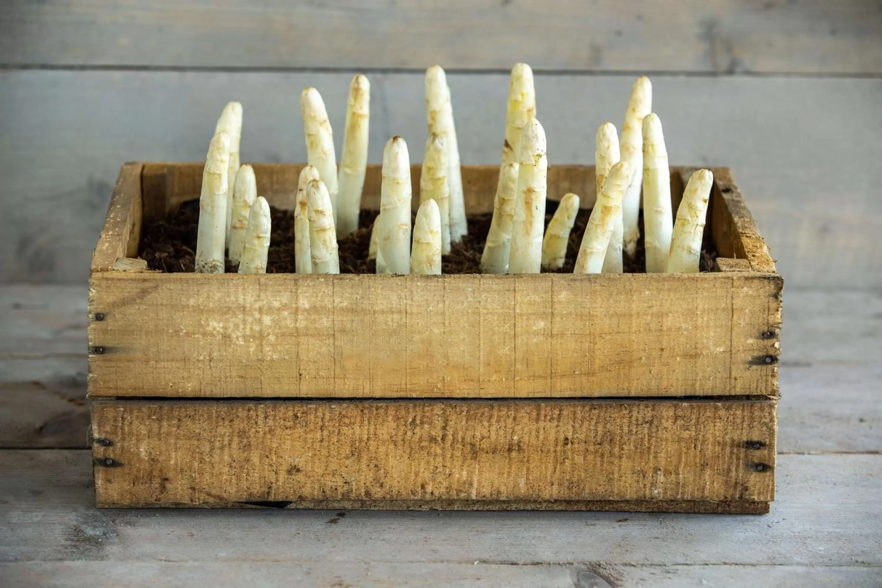 Other in Radisson Blu Hotel, Antwerp City Centre