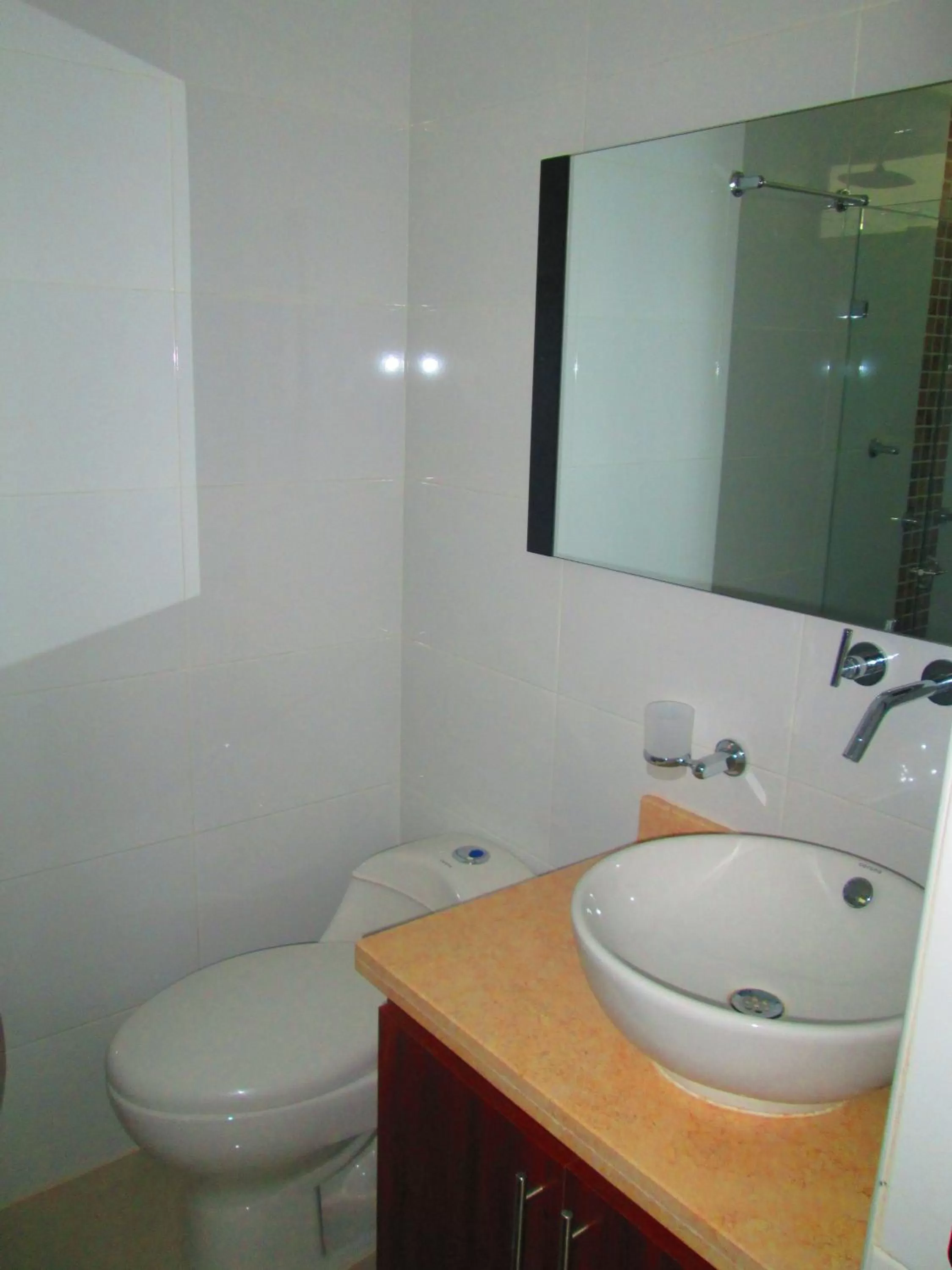 Bathroom in Hotel Ipanema Meridian