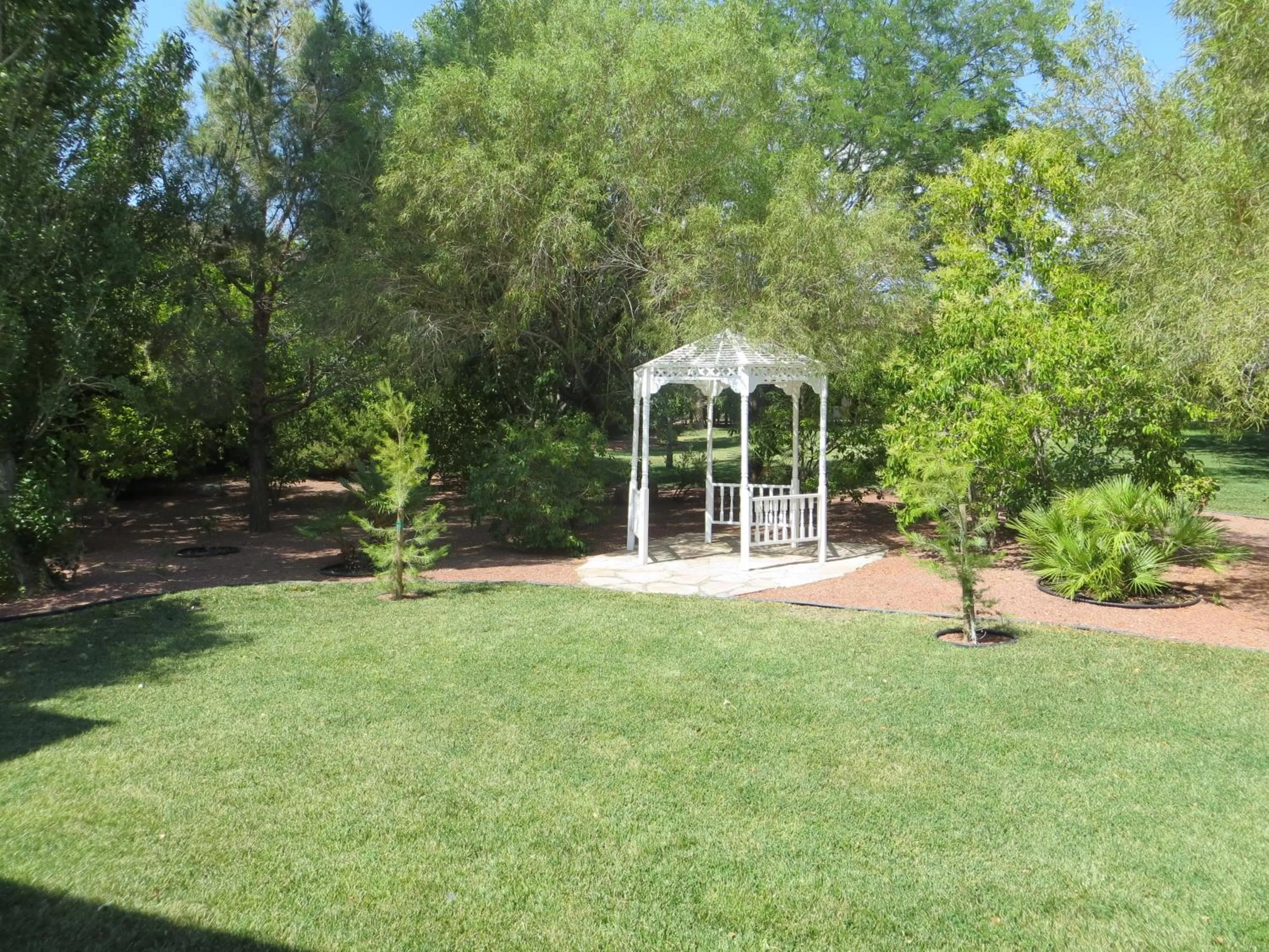 Other in Saddle West Casino Hotel