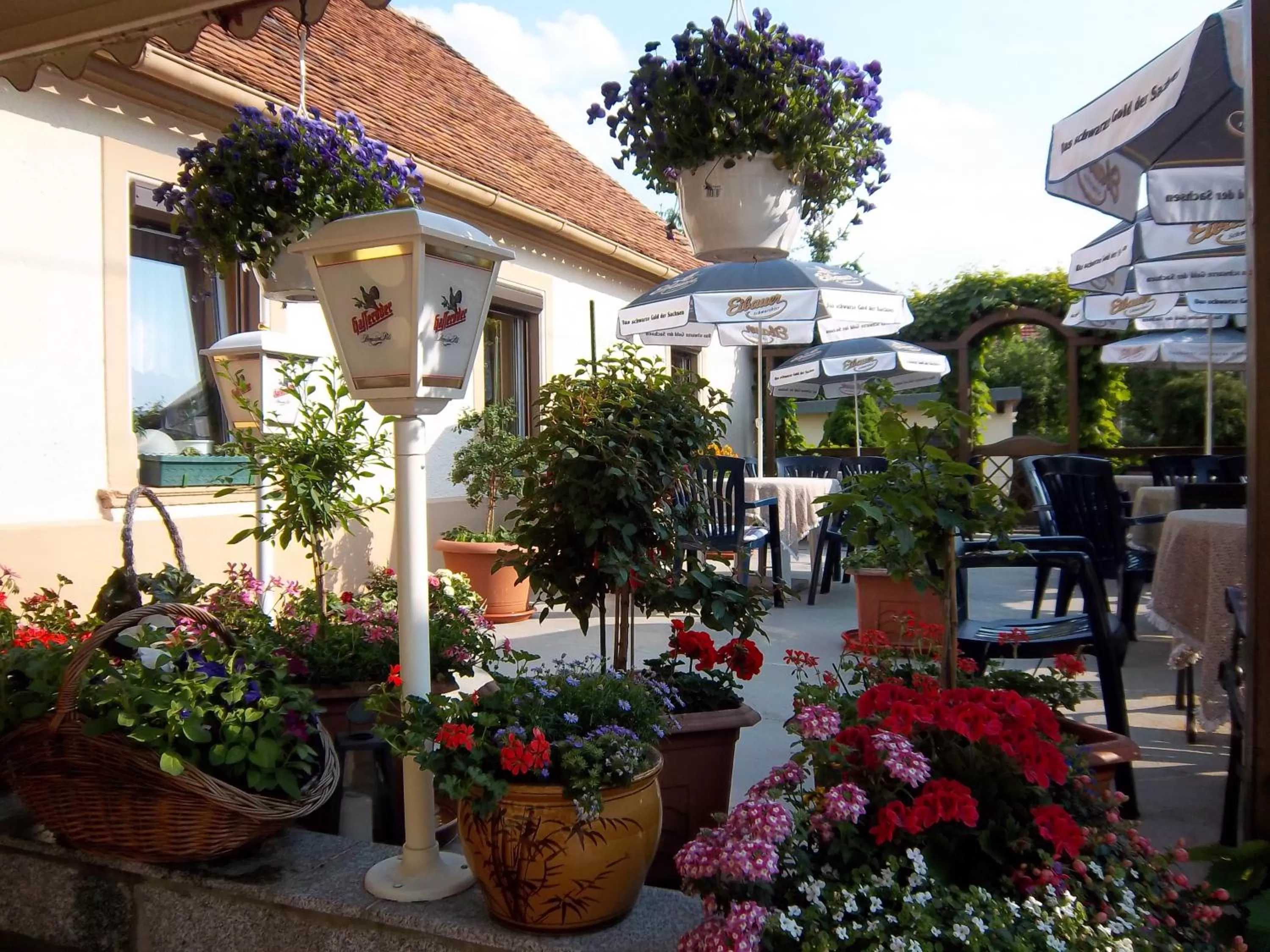 Balcony/Terrace in Hotel & Pension Aßmann
