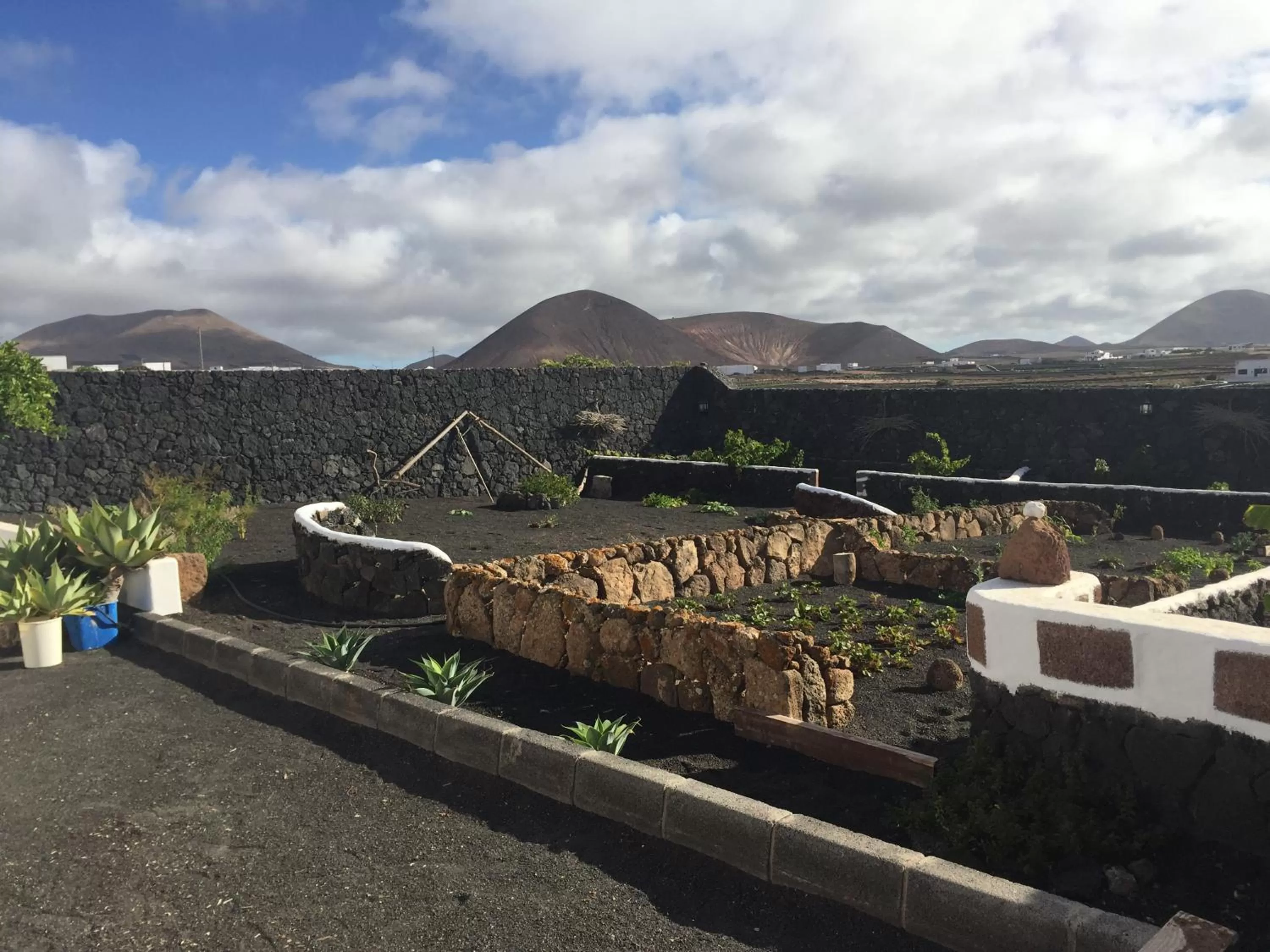 Garden in Villa El Jable Lanzarote