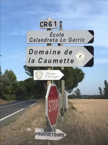 La cactée singulière