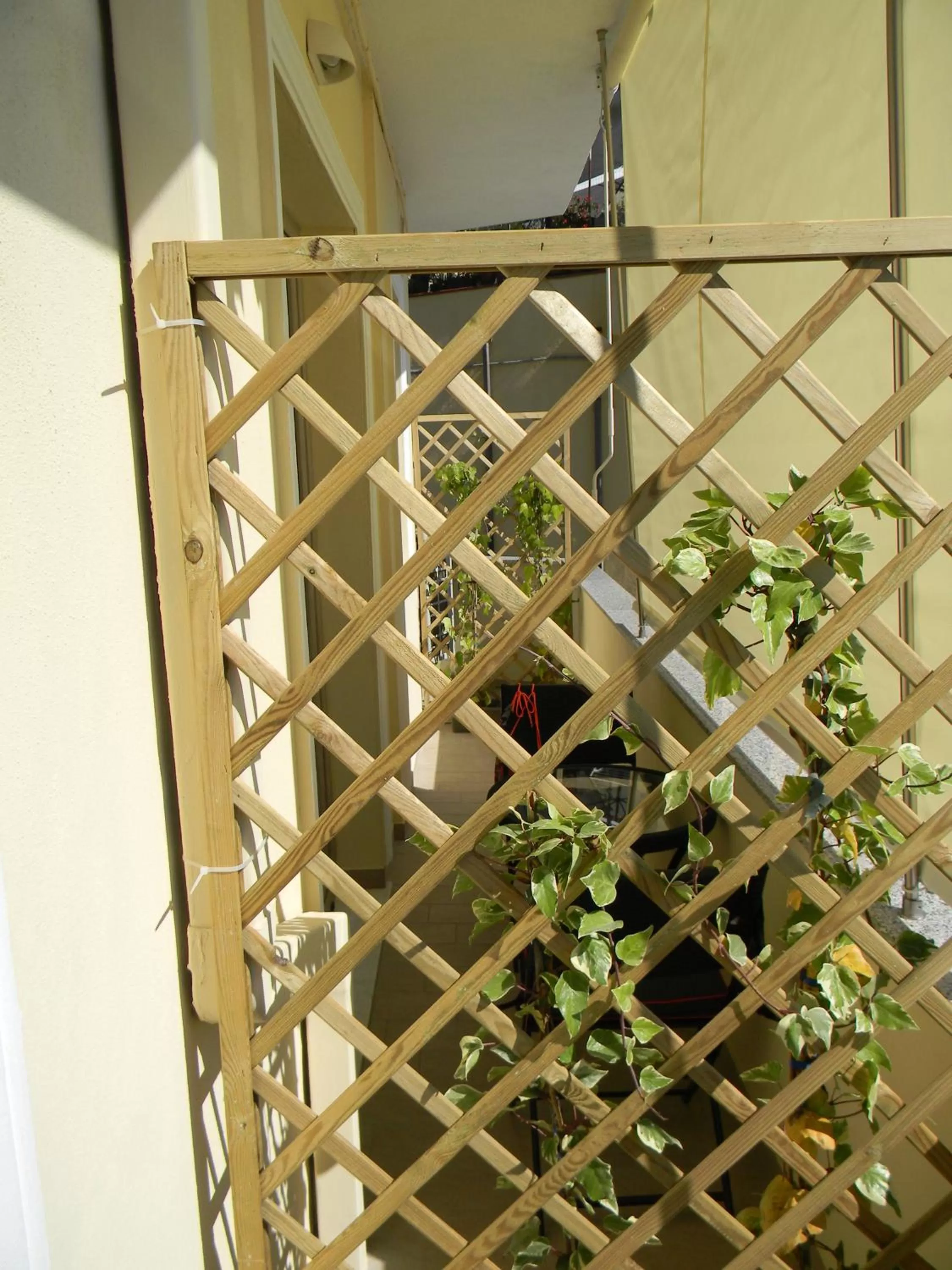 Balcony/Terrace in Tropeacentro