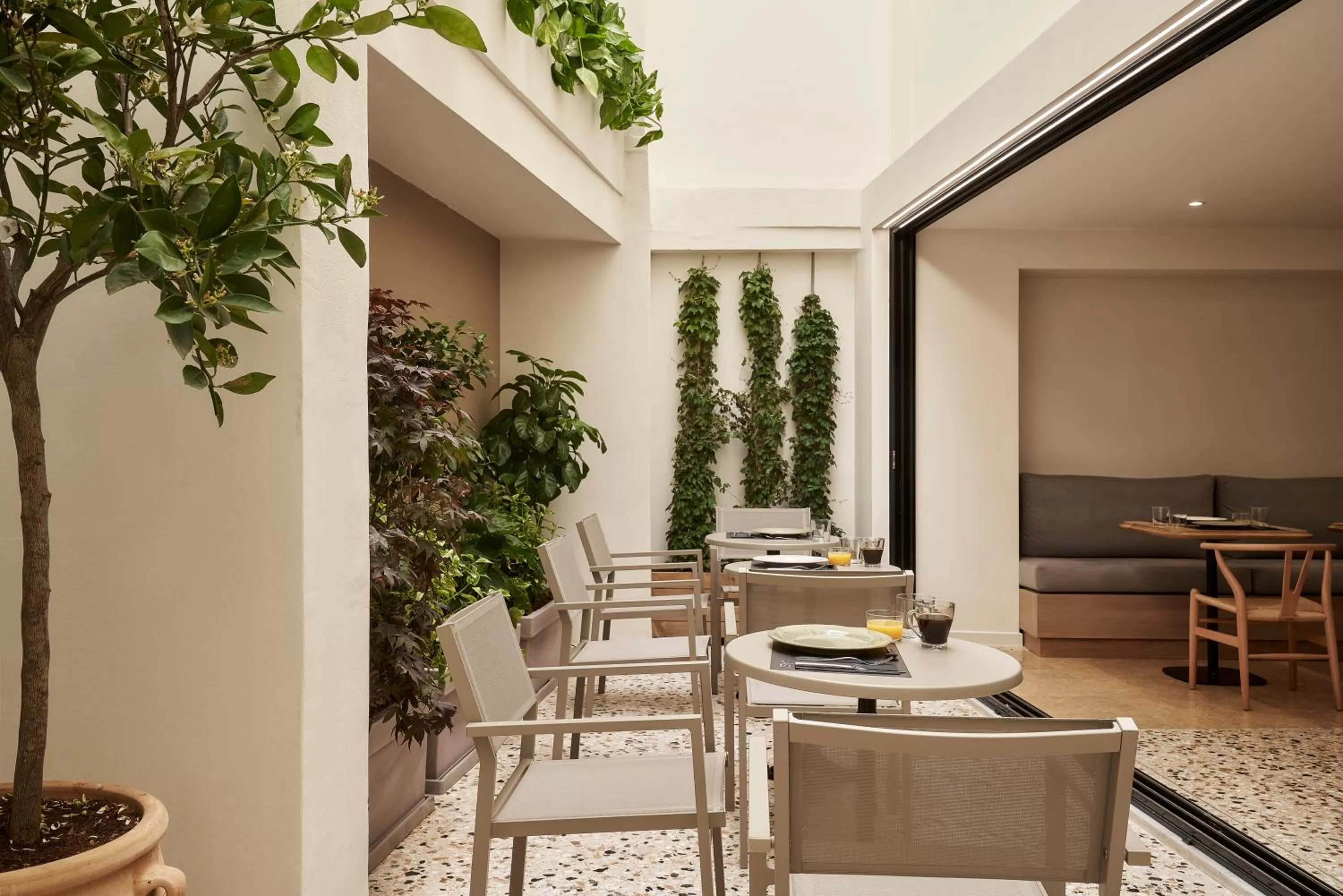 Restaurant/places to eat in Vasi