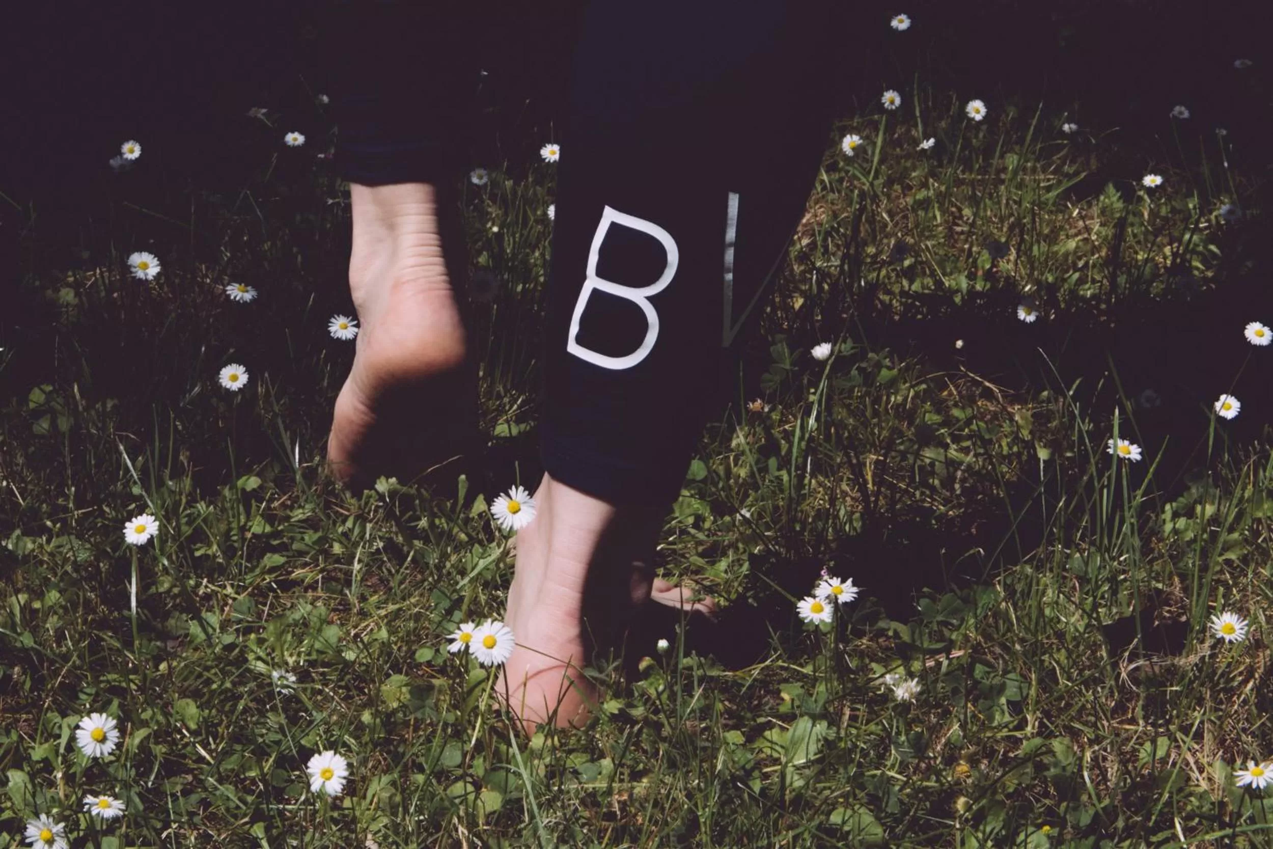 Garden in Palazzo BelVedere