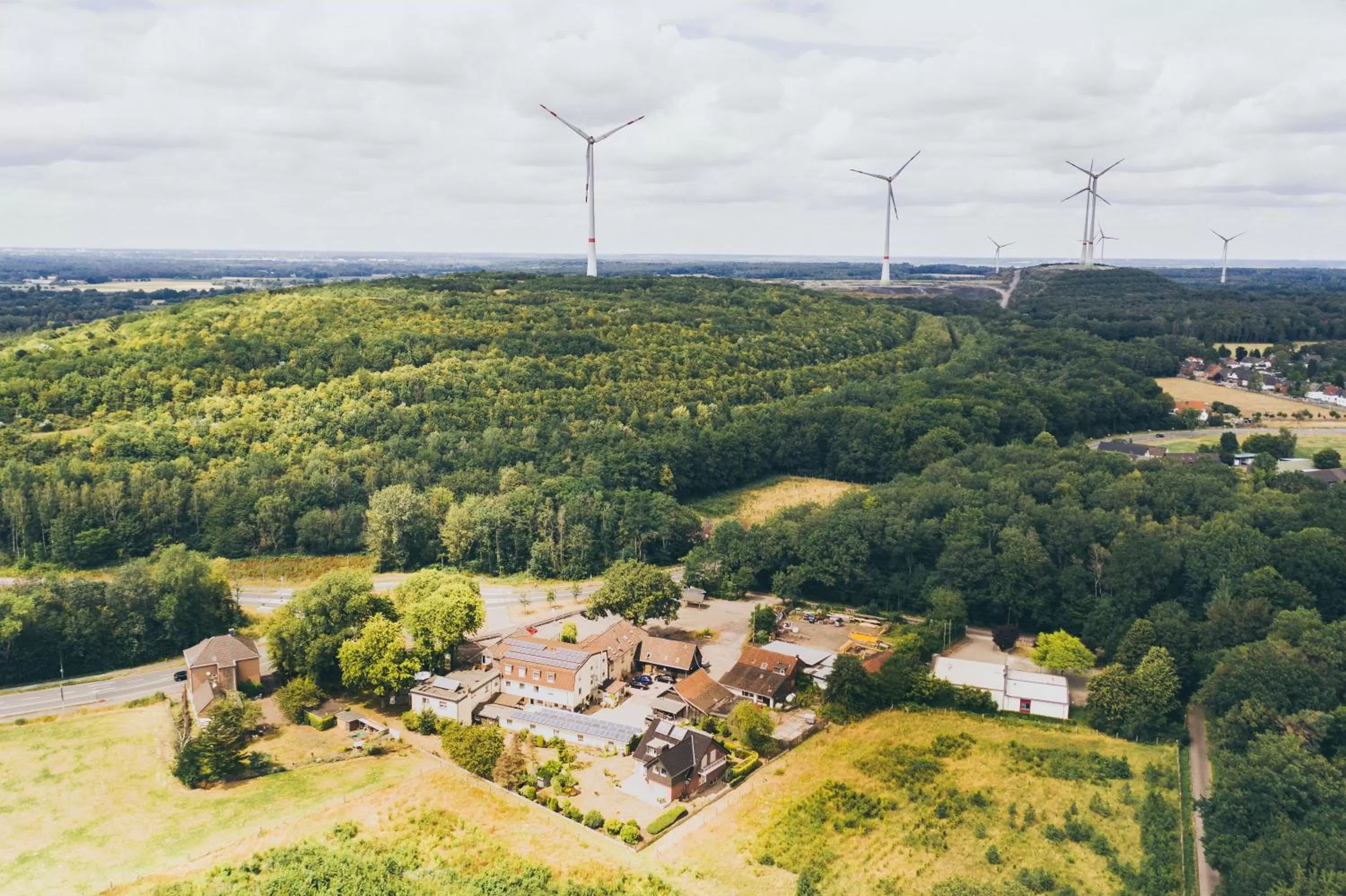 Natural landscape in Hotel Zum Grunewald