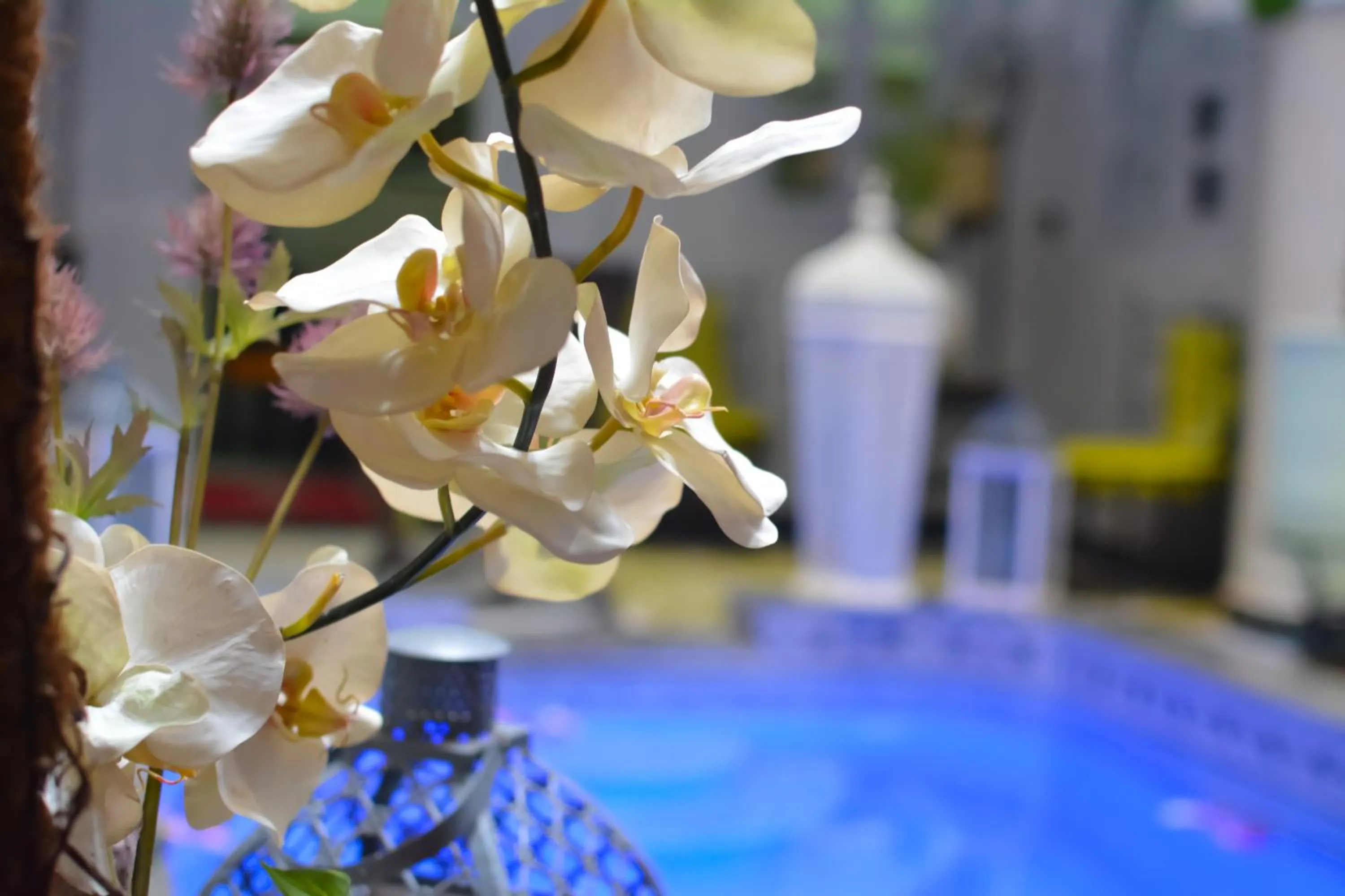 Pool view in Riad Eloise