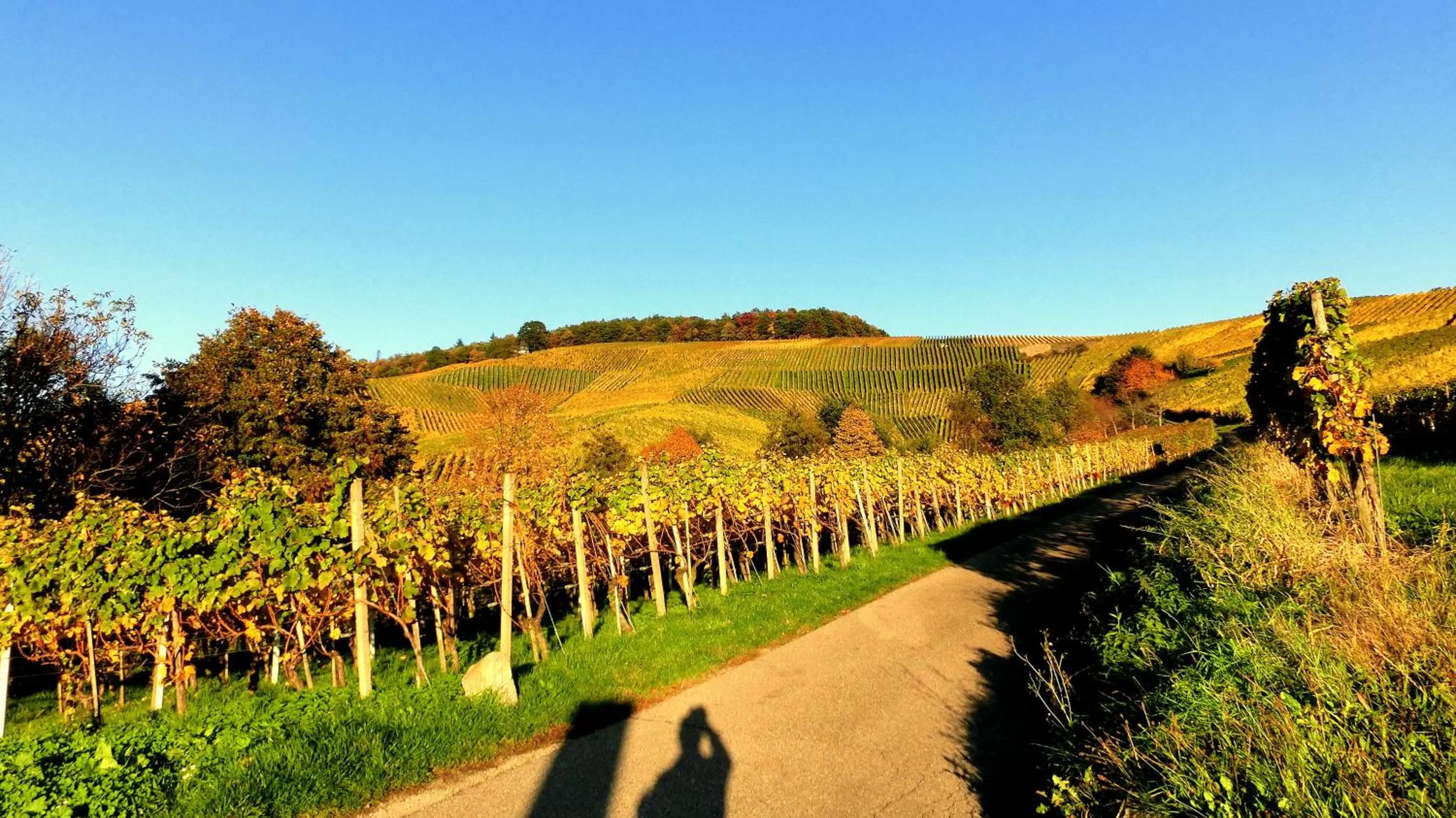 Off site in Hotel Rebstock