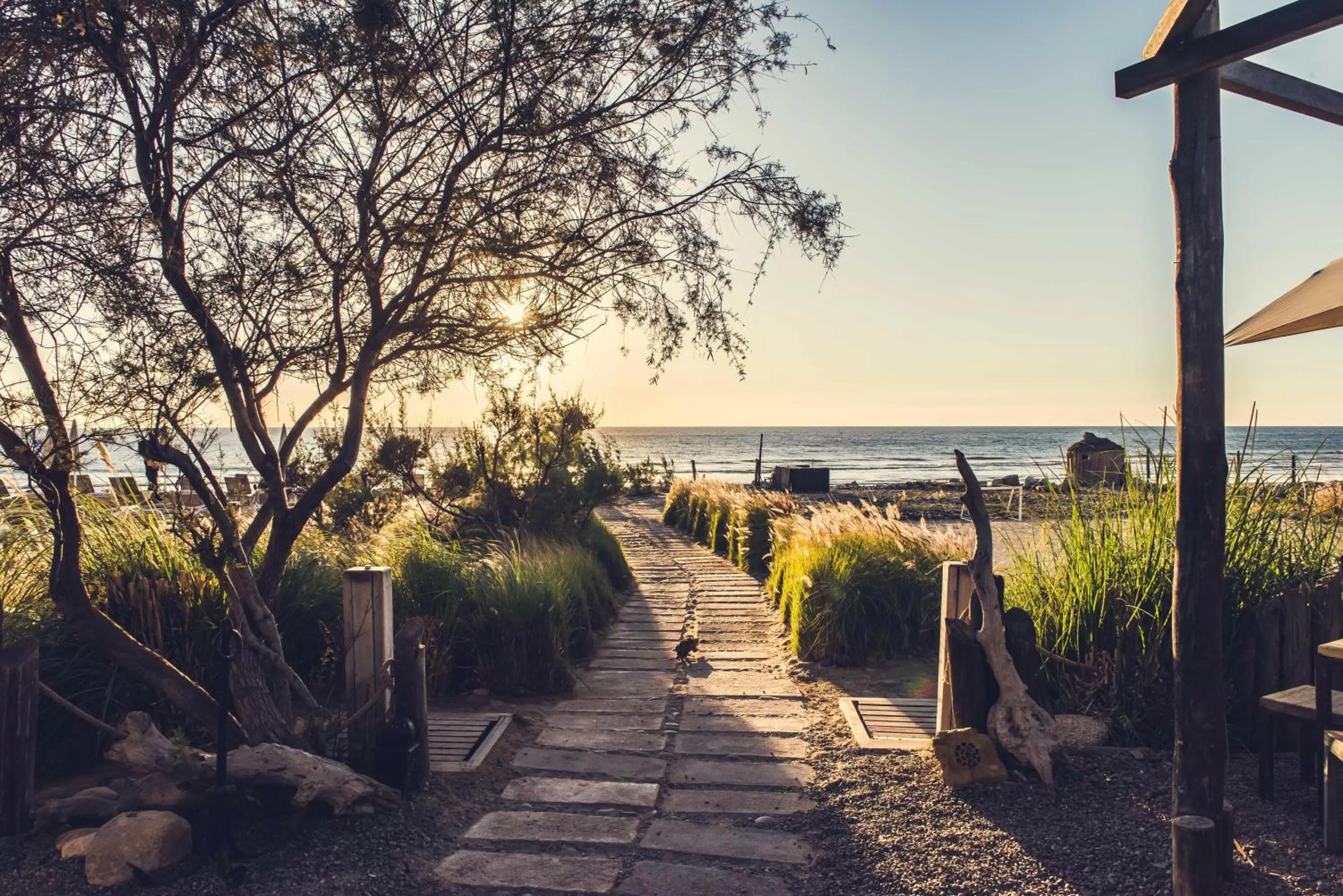 Garden in Paradis Plage Surf Yoga & Spa