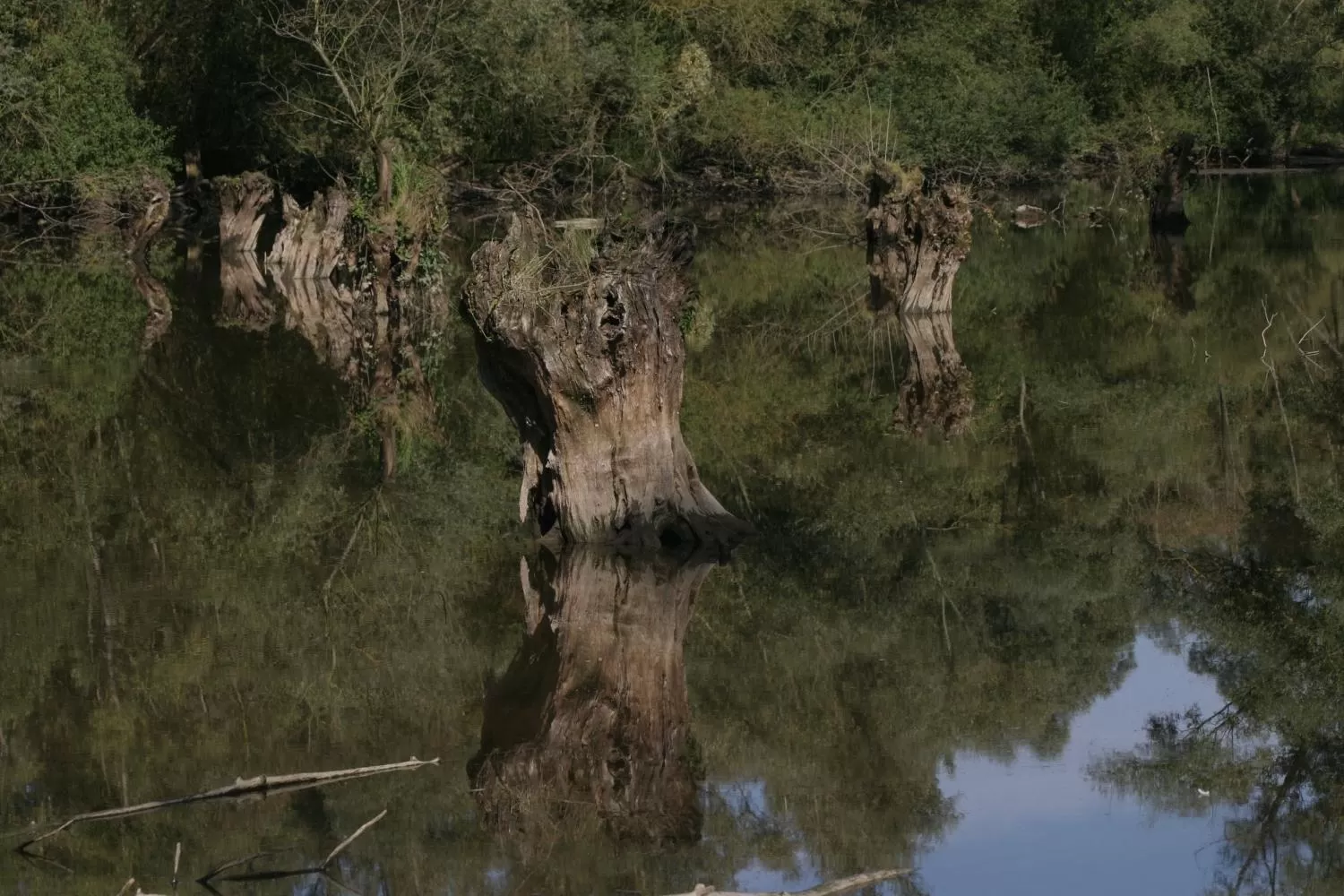 Area and facilities in Hotel Landgasthof Ratz