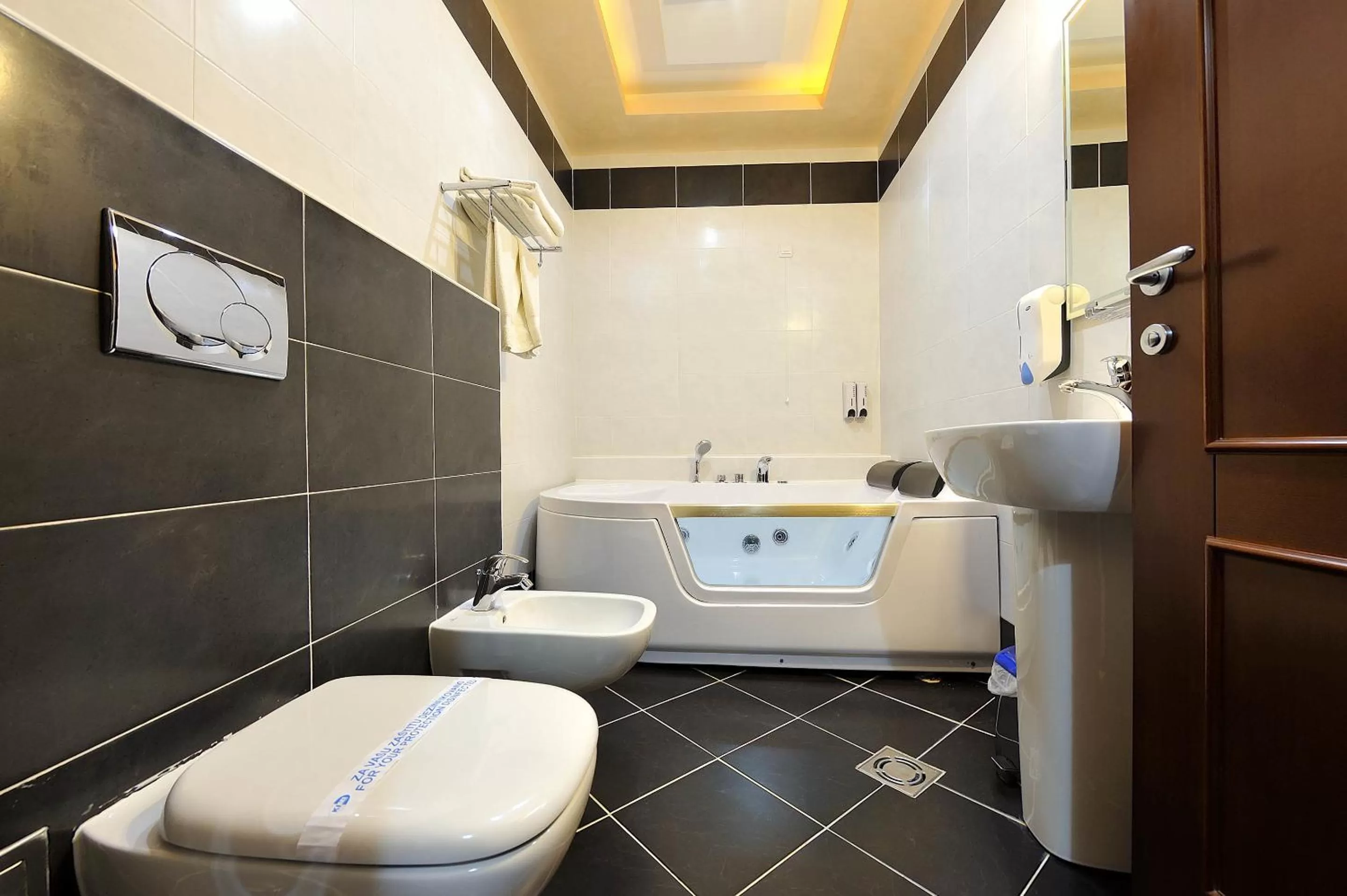 Hot Spring Bath, Bathroom in Hotel Sucevic Garni