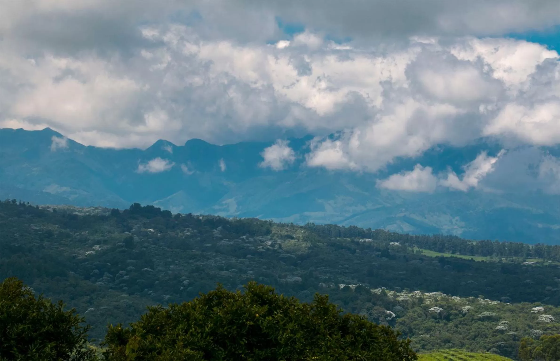 Mountain View in Casa Hotel El Compadre