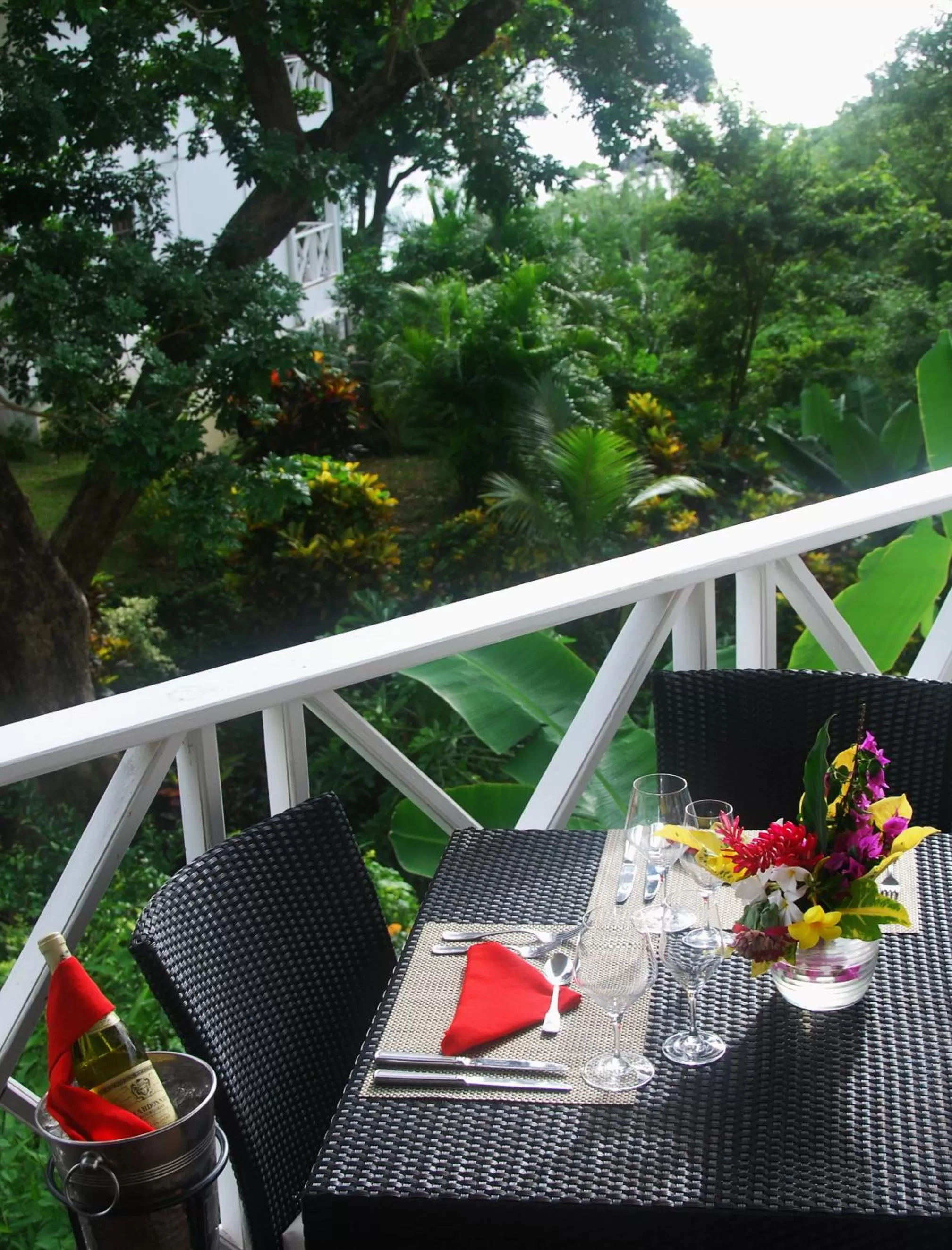 Day in Half Moon Blue Hotel