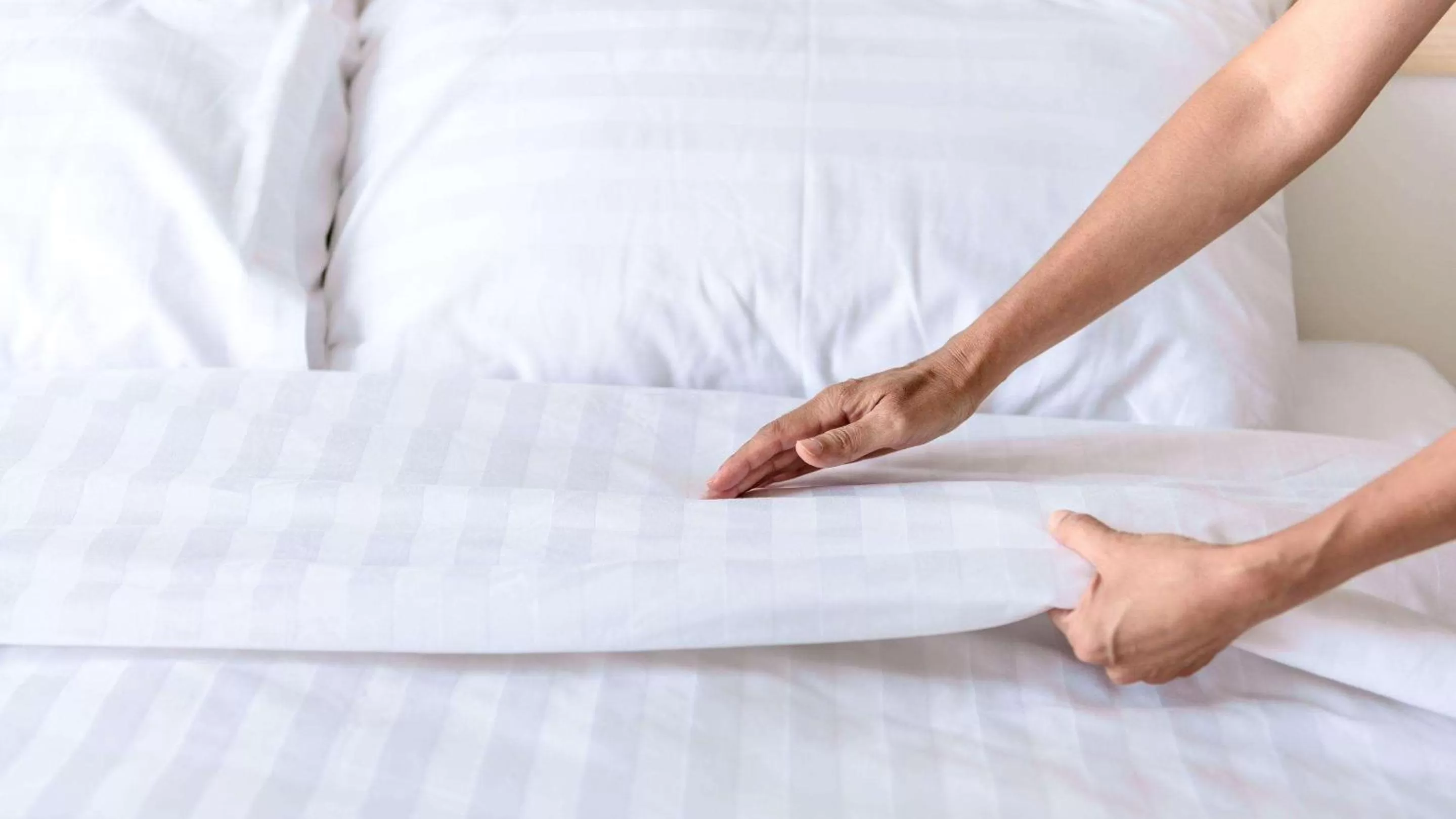 Photo of the whole room, Bed in Sun Plaza Motel