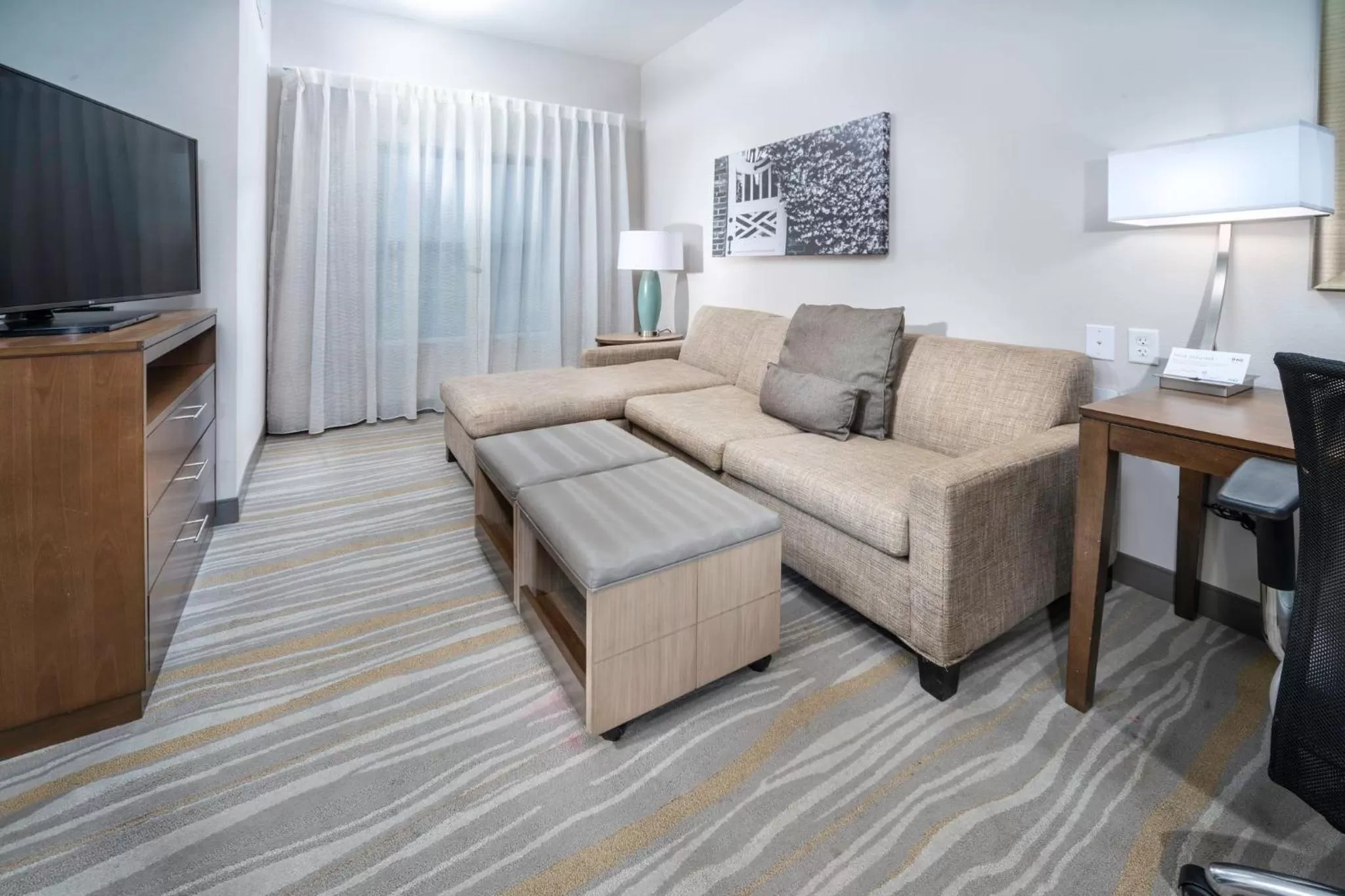 Photo of the whole room in Staybridge Suites - Summerville by IHG