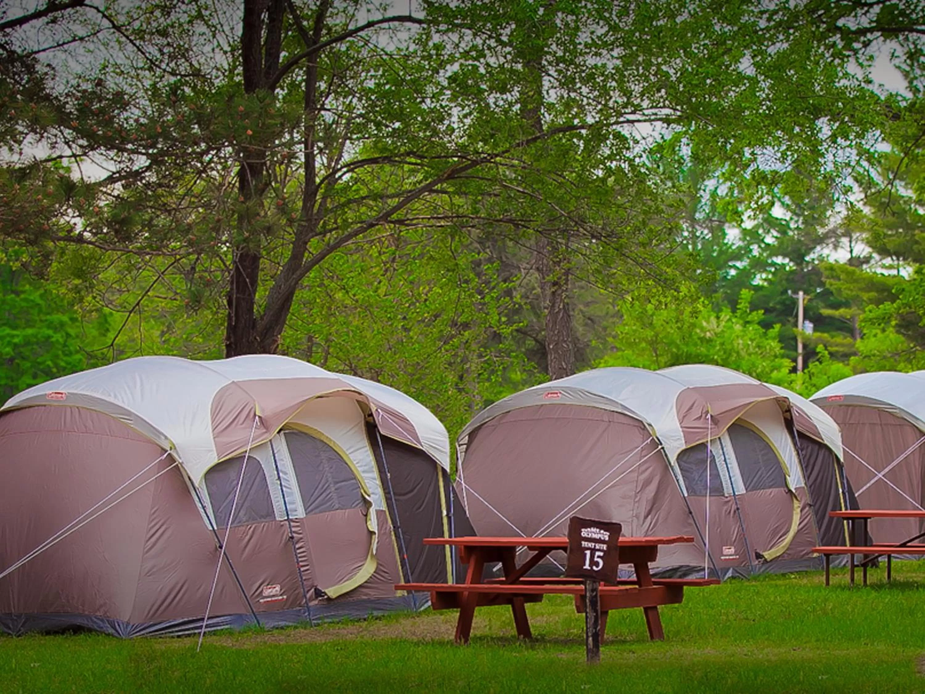 MT. OLYMPUS WATER PARK AND THEME PARK RESORT