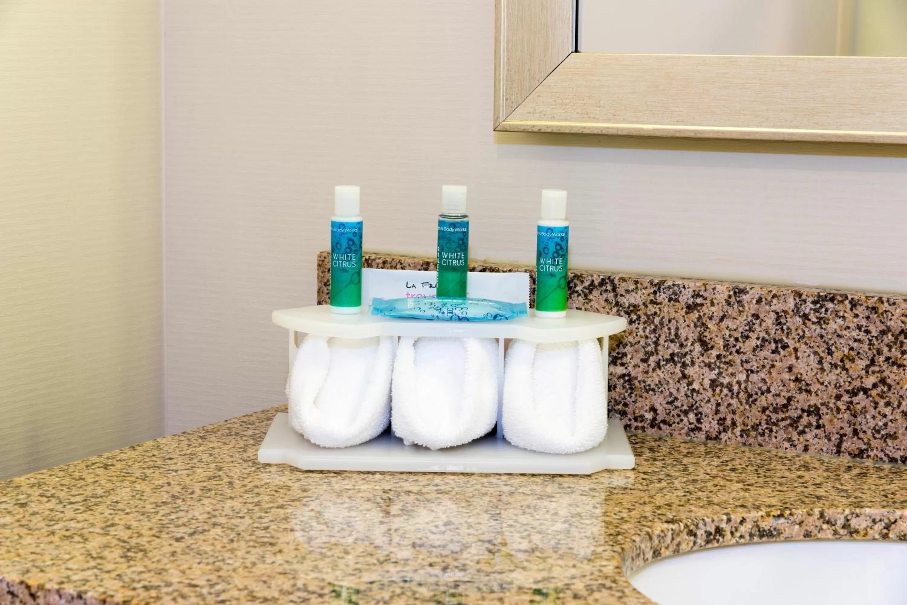 Photo of the whole room in Holiday Inn Express Hotel & Suites Grand Rapids-North by IHG