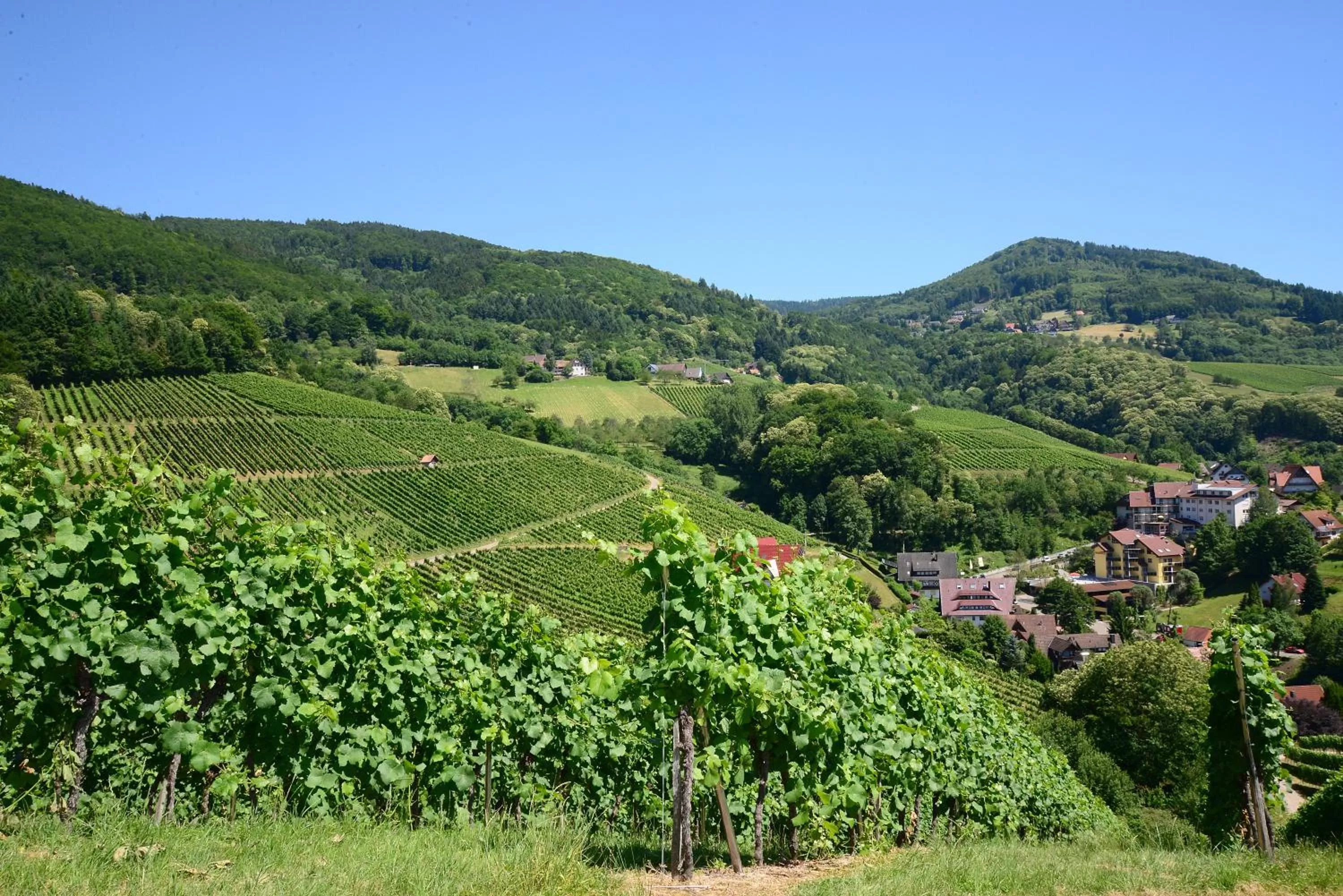 Natural landscape in Residence am Weinberg / Travellers Hotelbetriebs GmbH