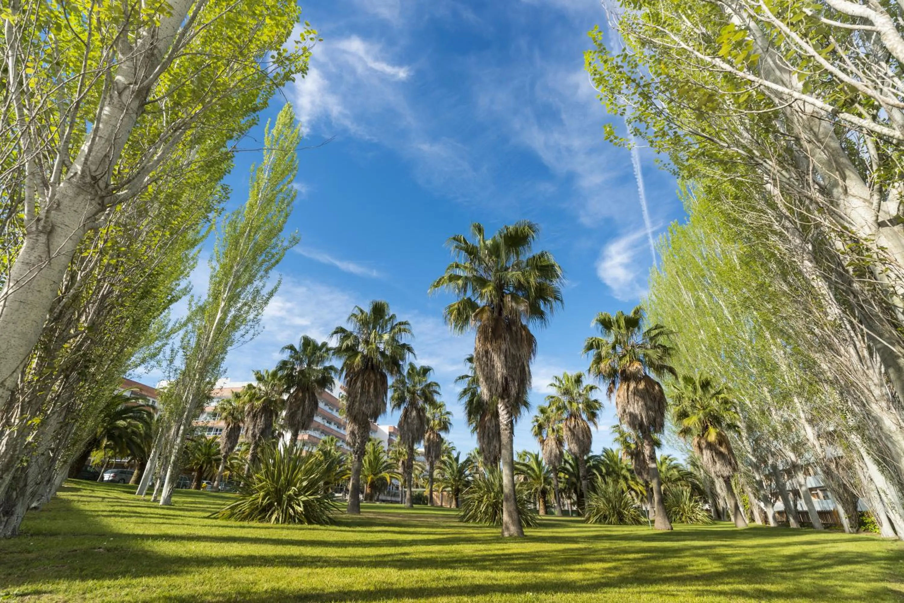 Garden in Costa Encantada Resort & Suites