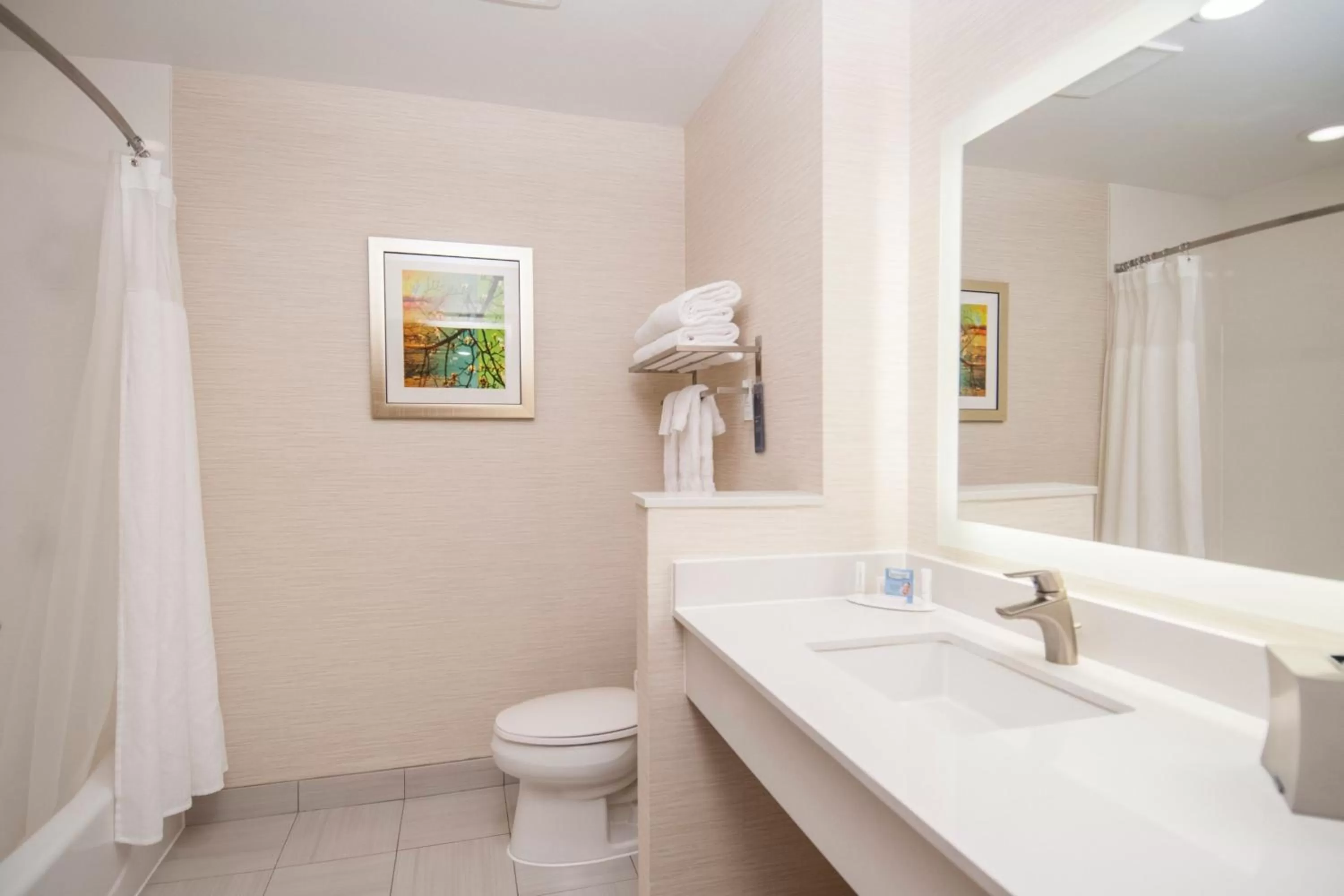 Bathroom in Fairfield Inn & Suites by Marriott Dallas Plano North