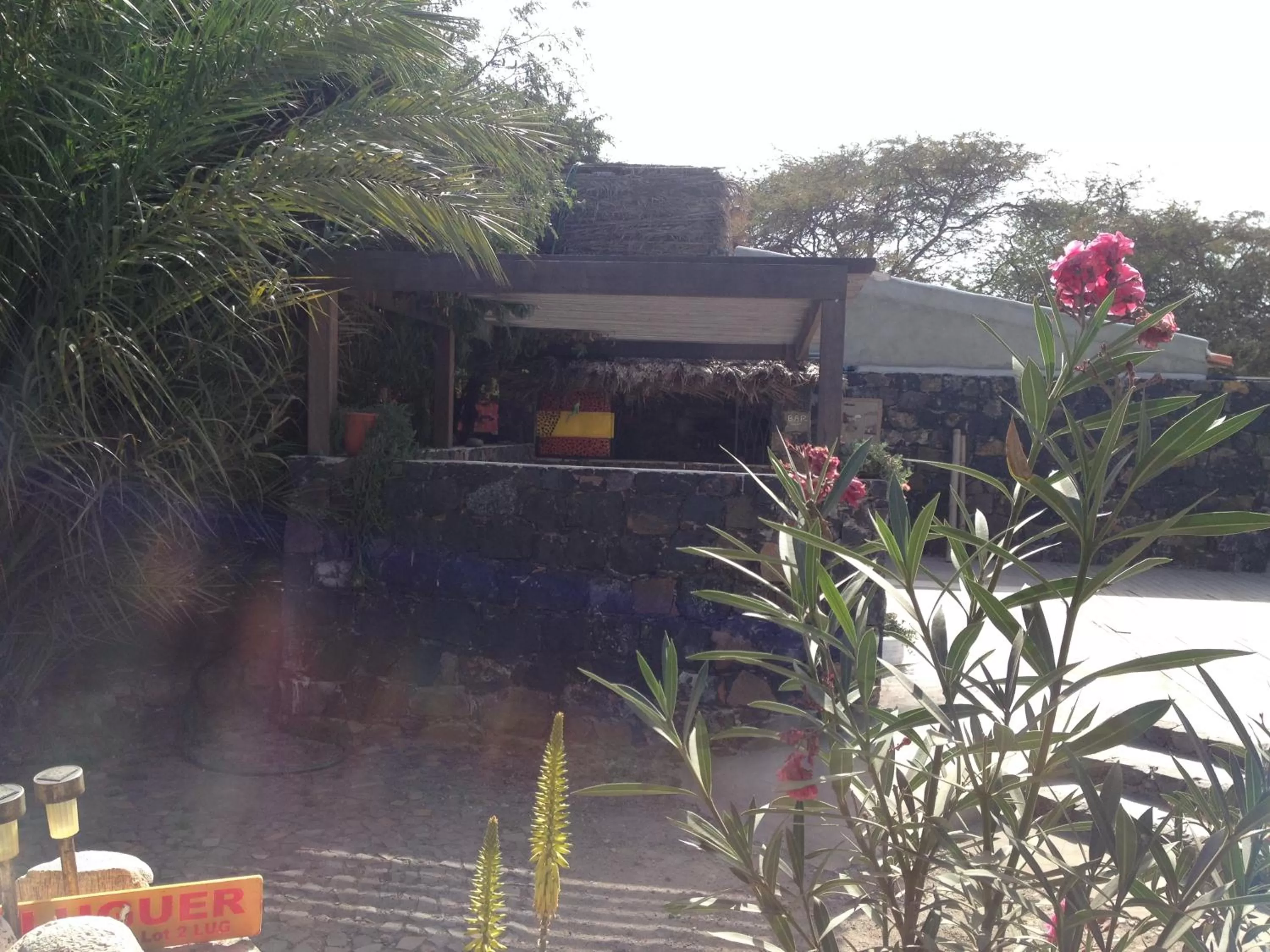 Lounge or bar in Villa Morabeza Guest House