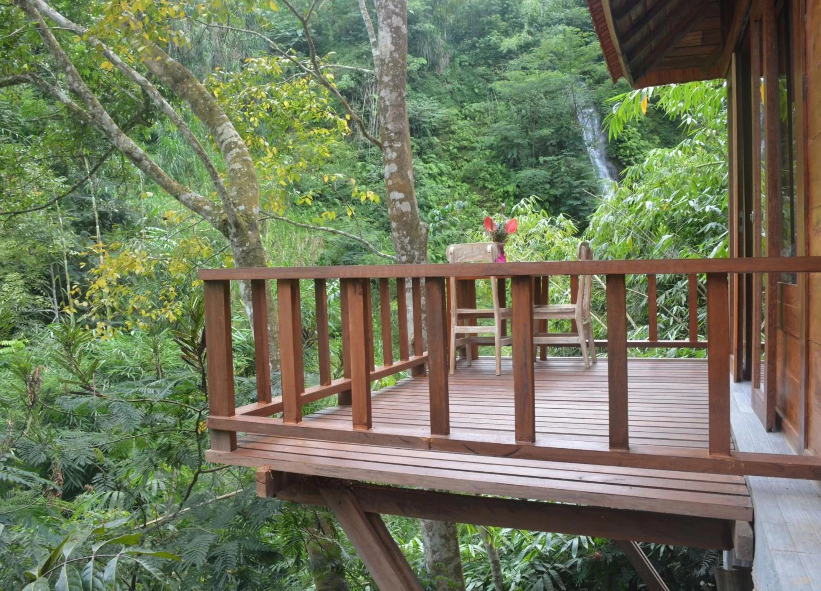 Bird's eye view in Gumi Ayu EcoStay