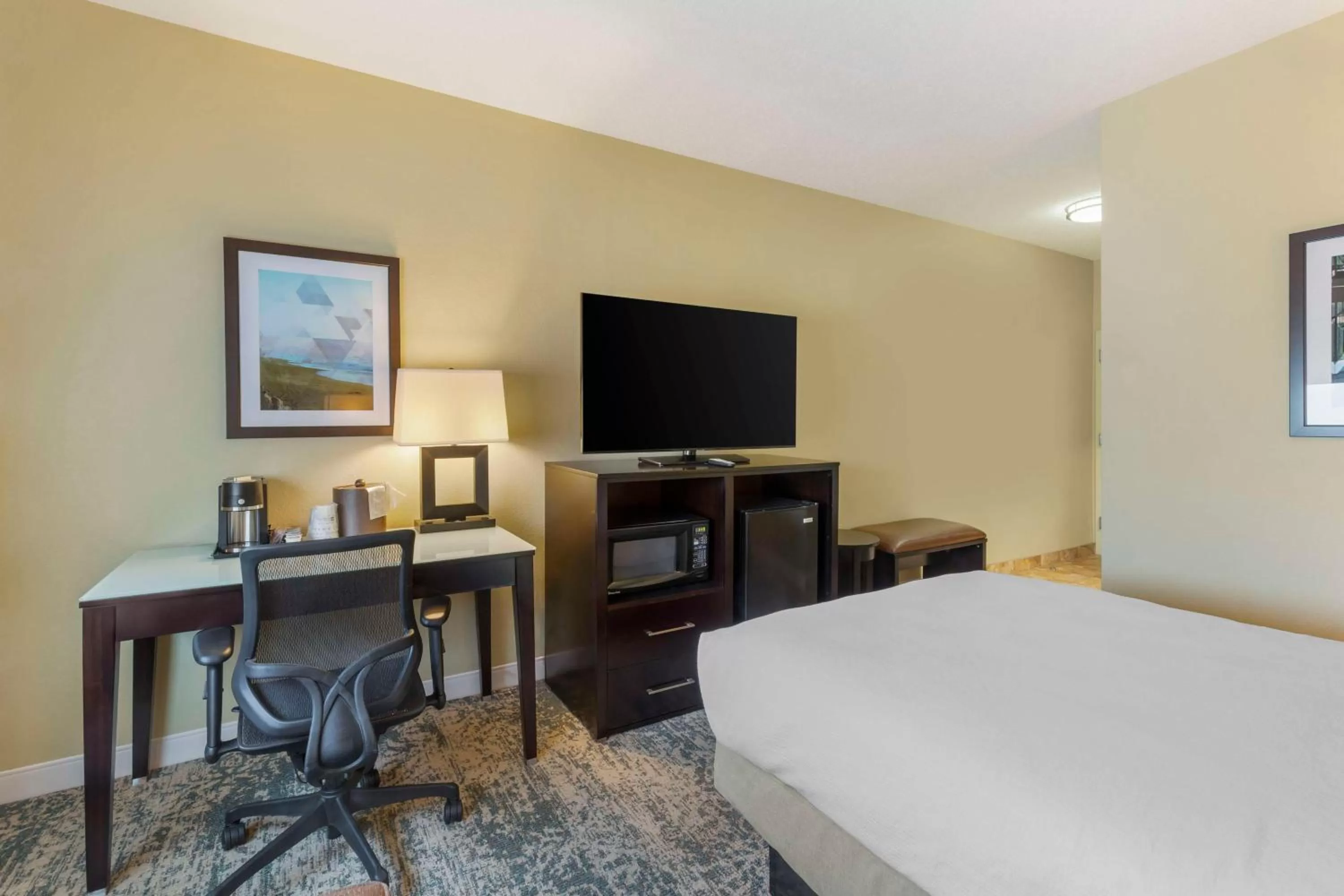Roll-in Shower | Accessible - 1 full size bed in Best Western Plus Wilmington/Carolina Beach