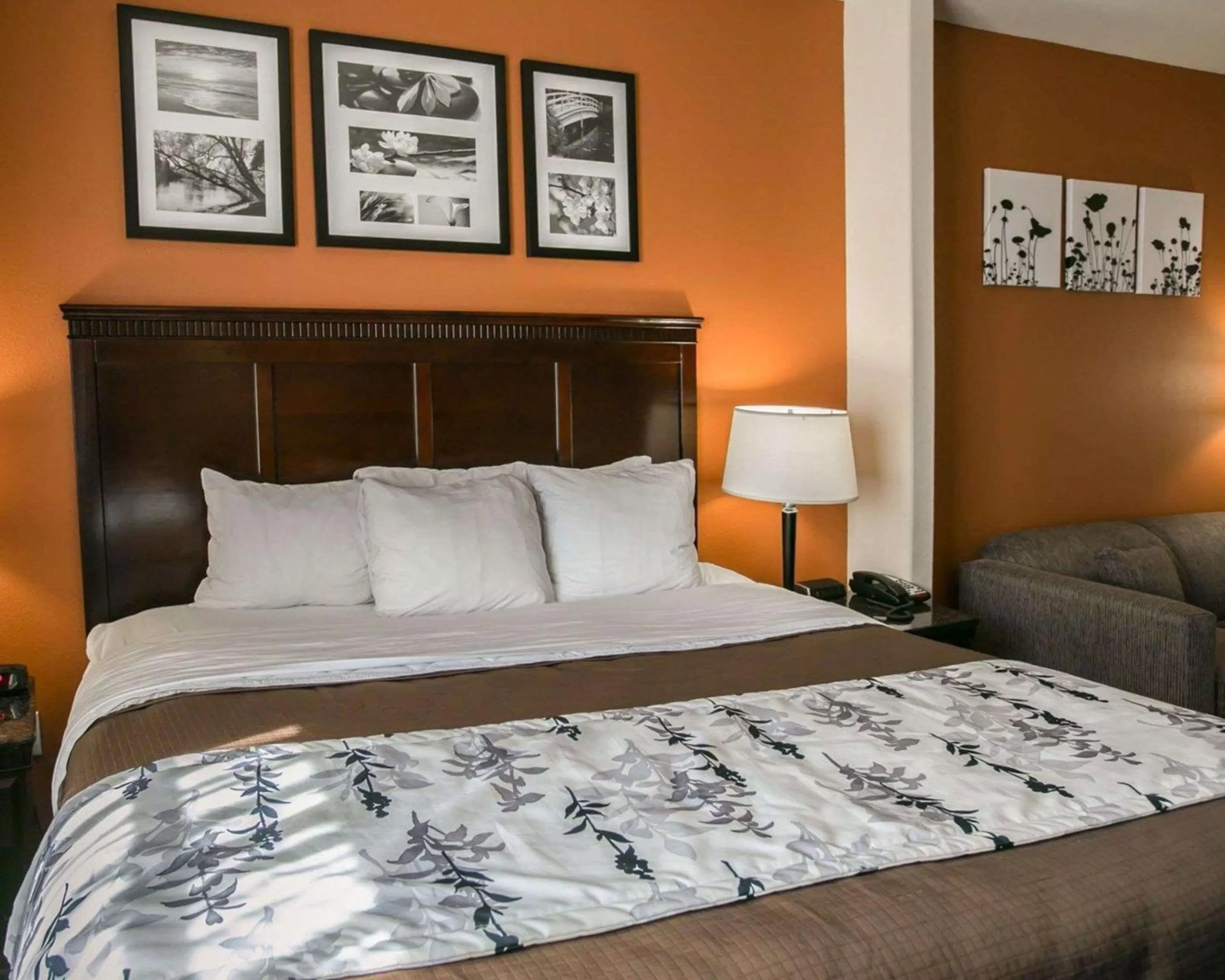 Photo of the whole room, Bed in Sleep Inn & Suites Hwy 290-NW Freeway